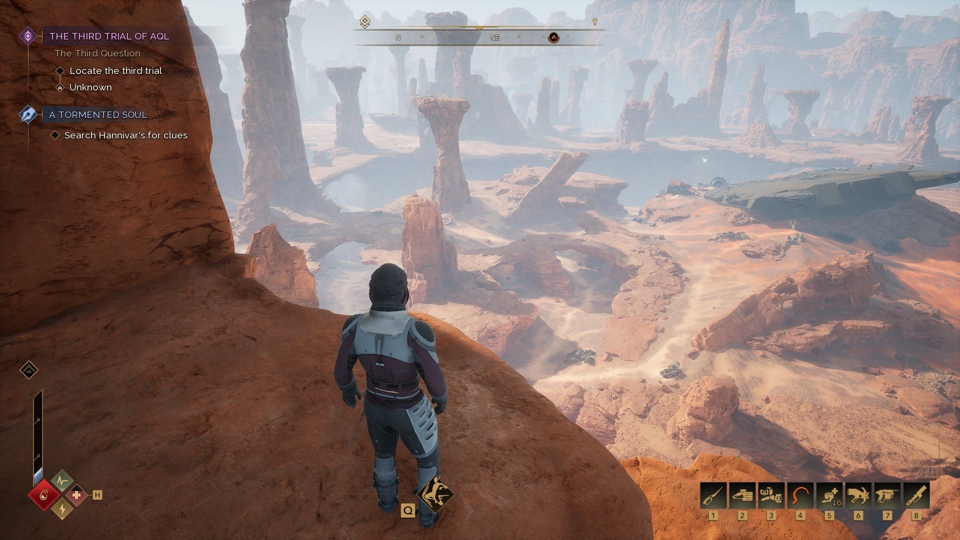 looking around.jpg