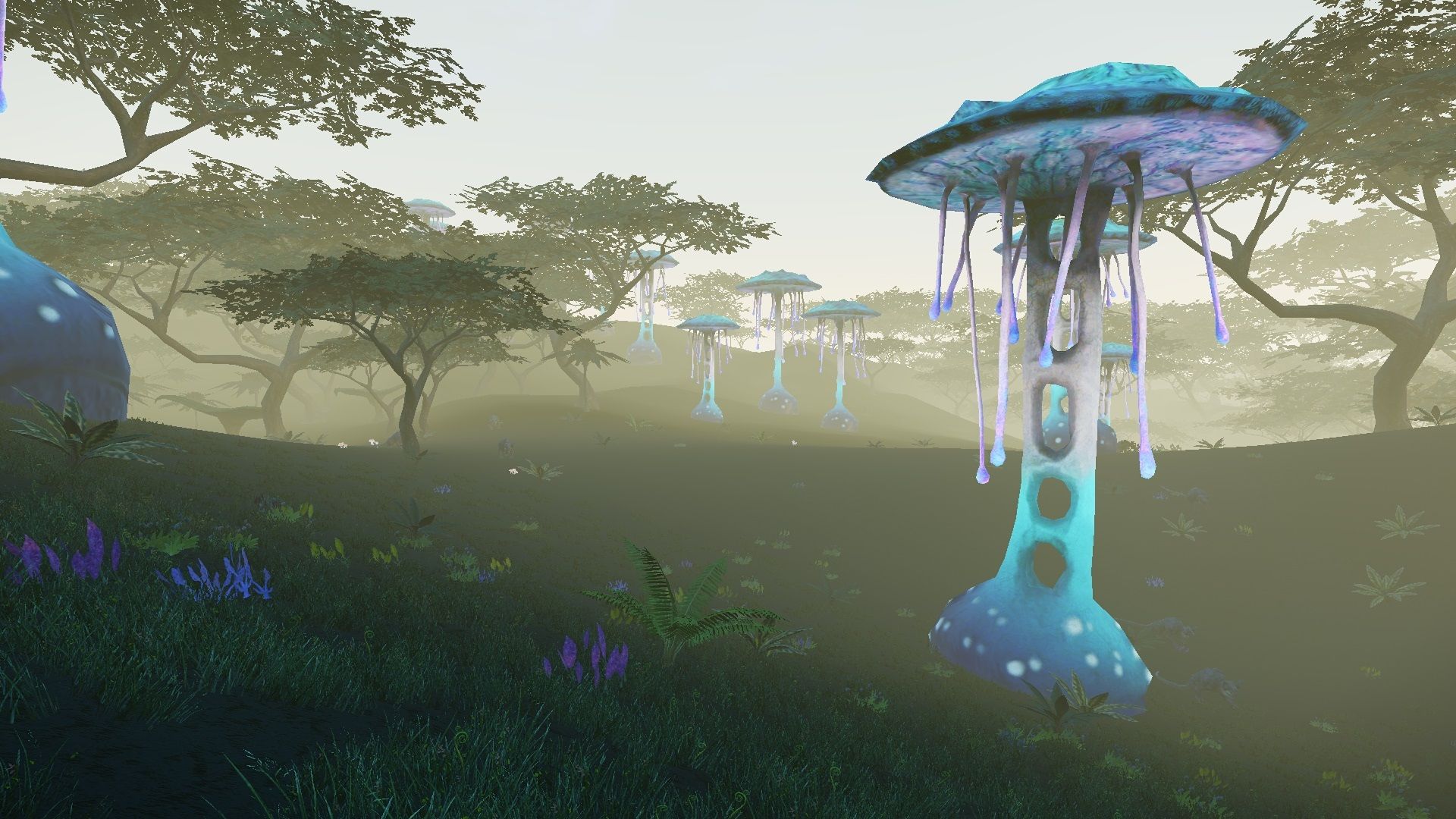 alien looking mushrooms.jpg