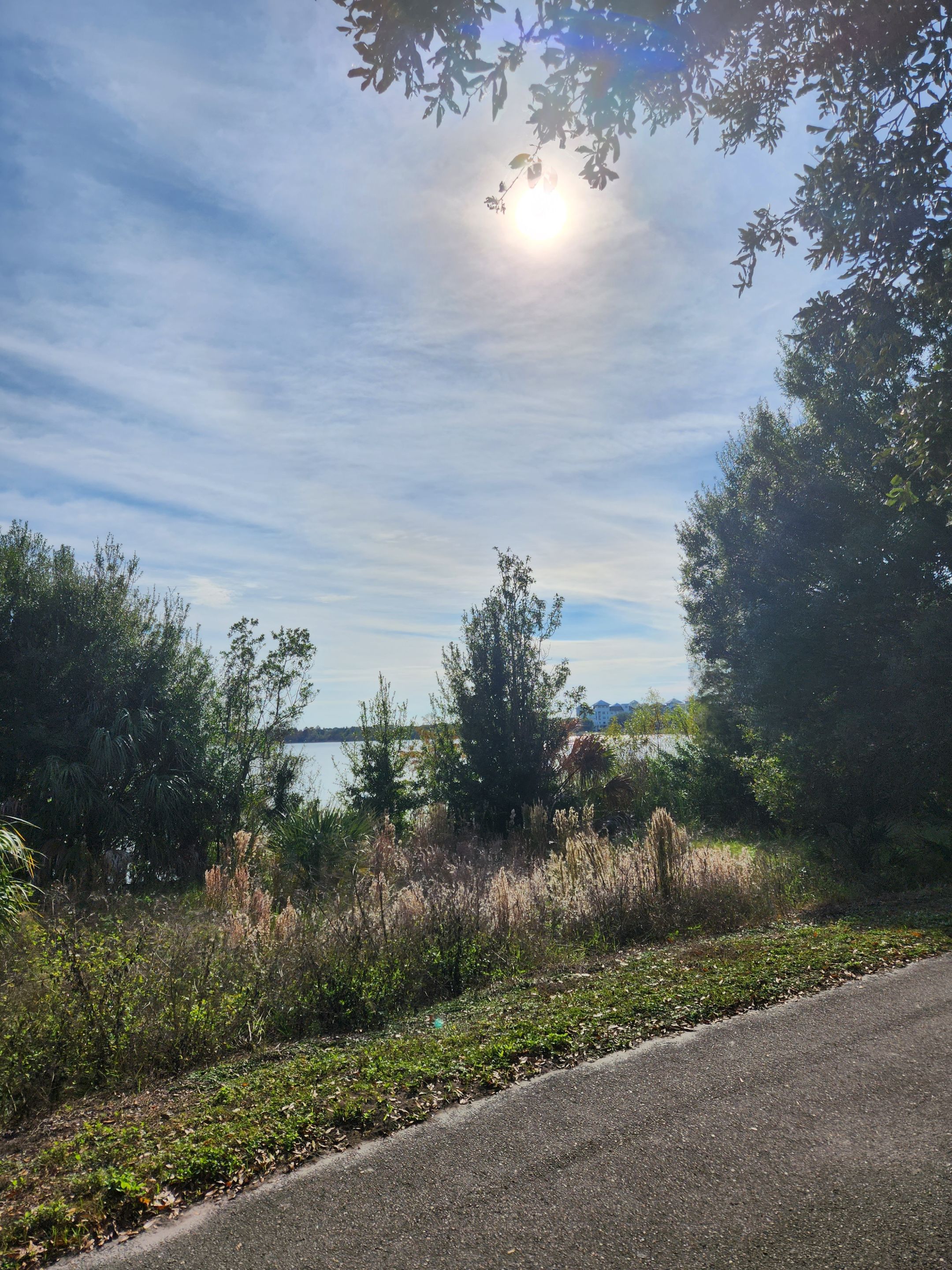 some lake view.jpg