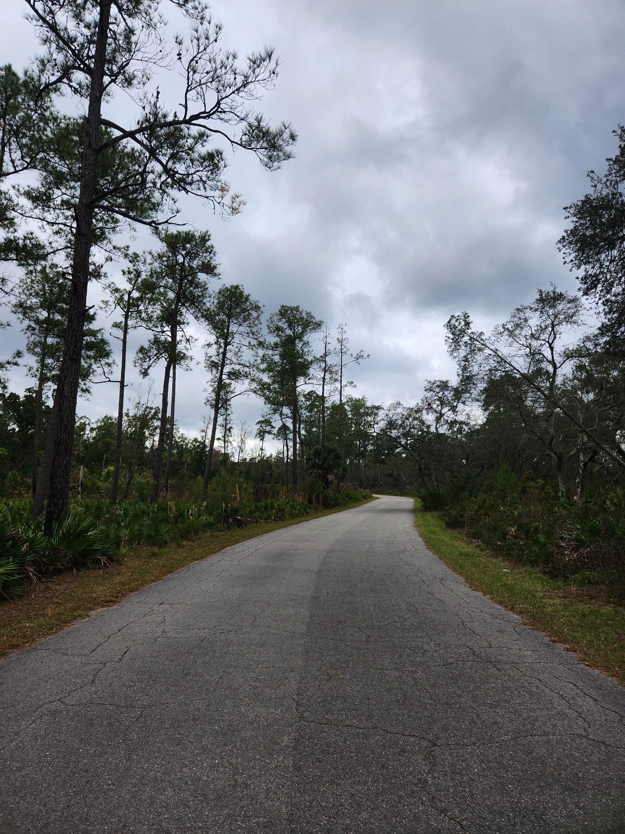 the bike trail.jpg