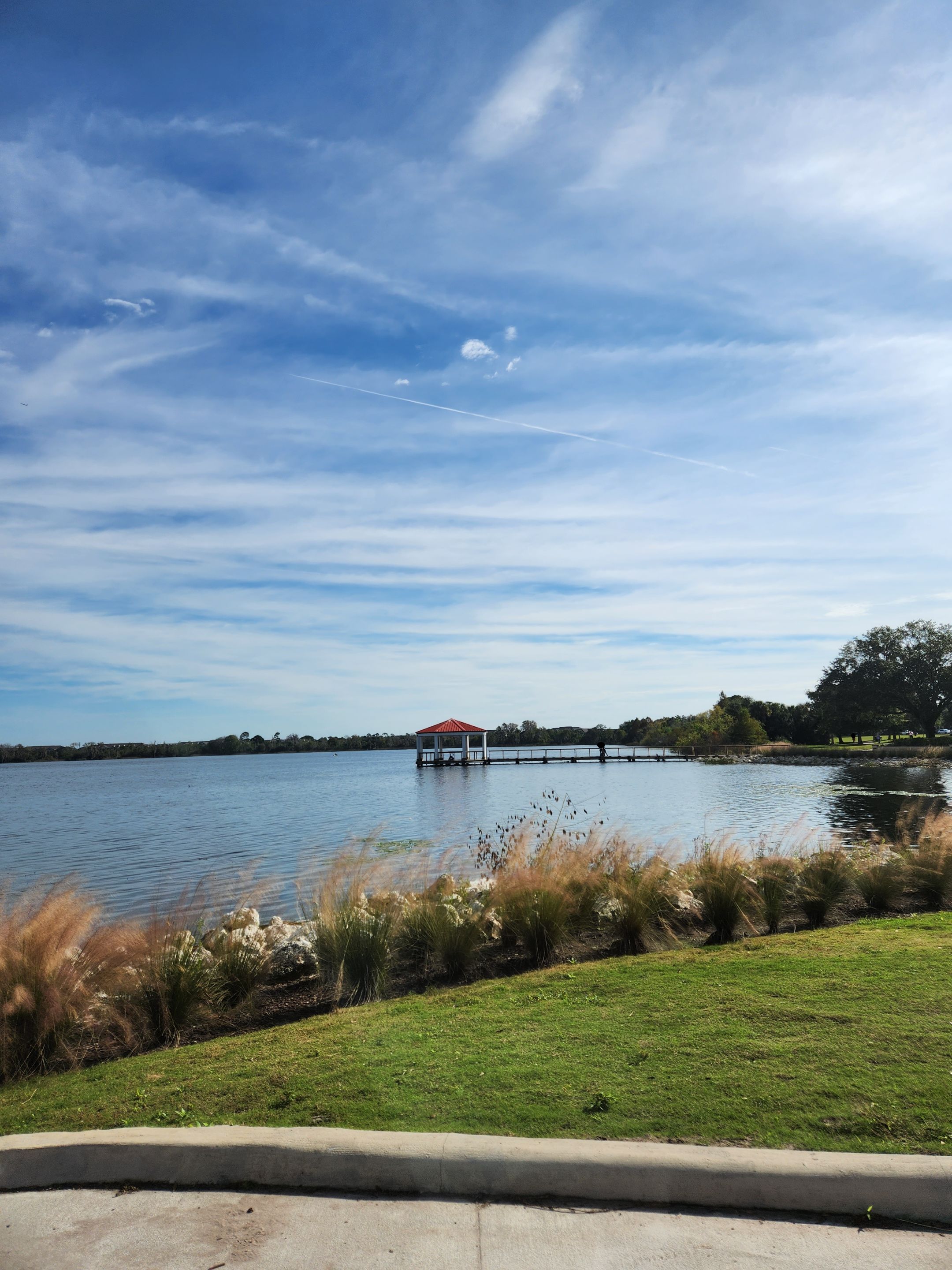 view of the lake.jpg