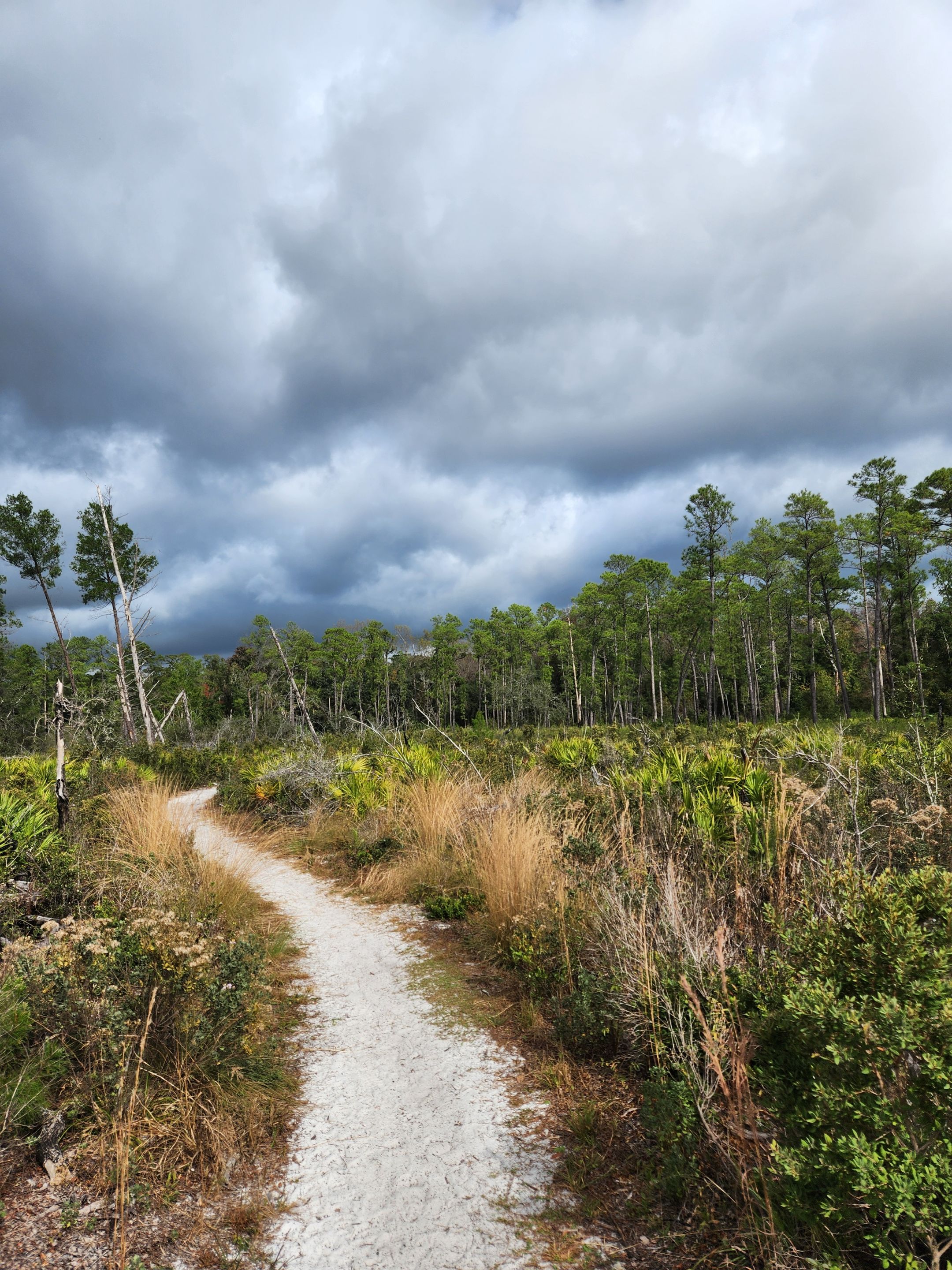 even thicker clouds.jpg