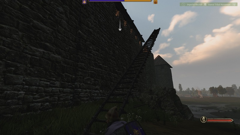 Mount and Blade II Bannerlord siege ladders.jpg