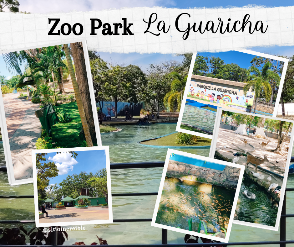 Post de Facebook con Frase Motivadora de Viaje Collage Blanco_20251007_222412_0000.png