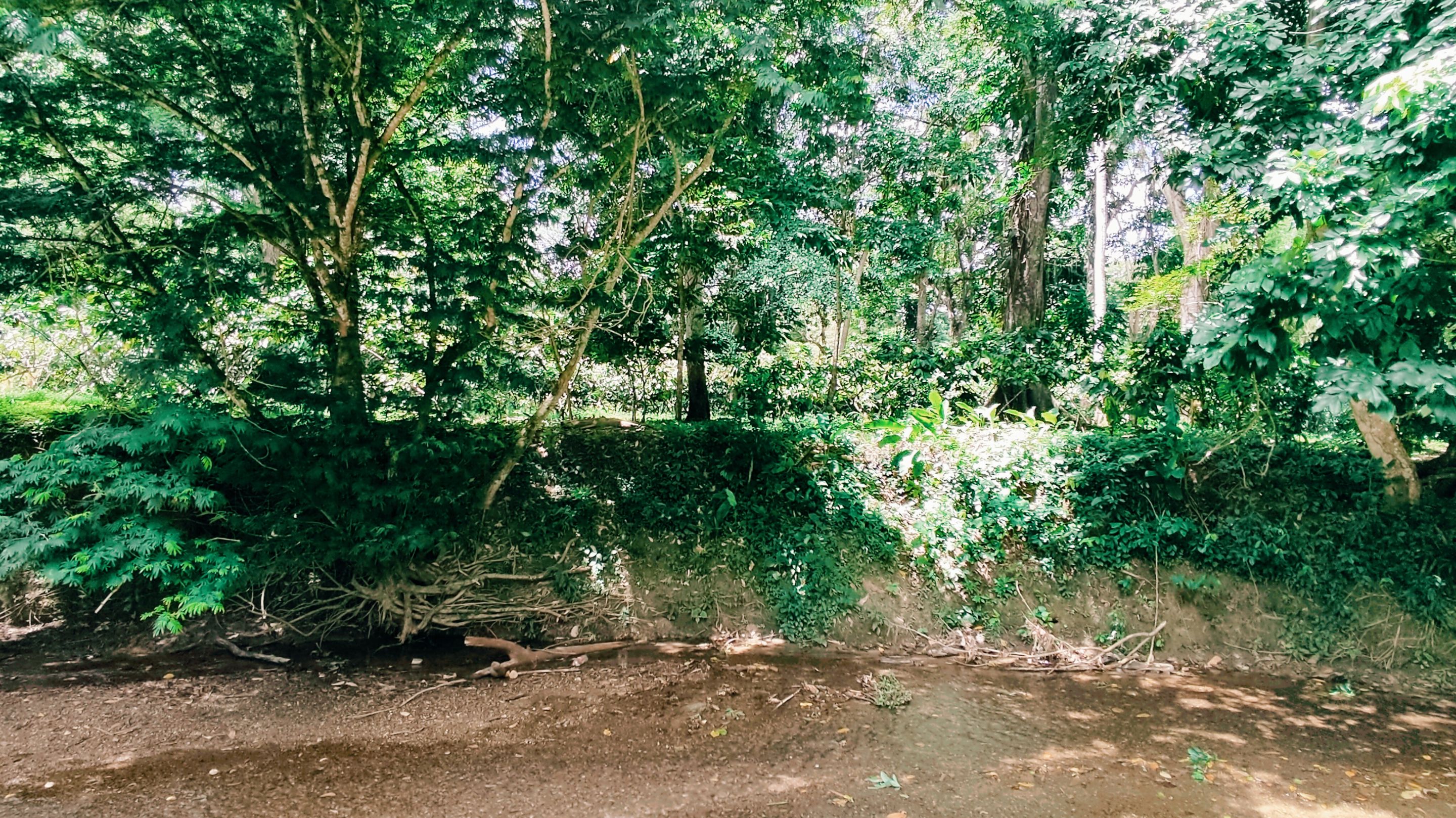 InShot_20250928_215150483.jpg