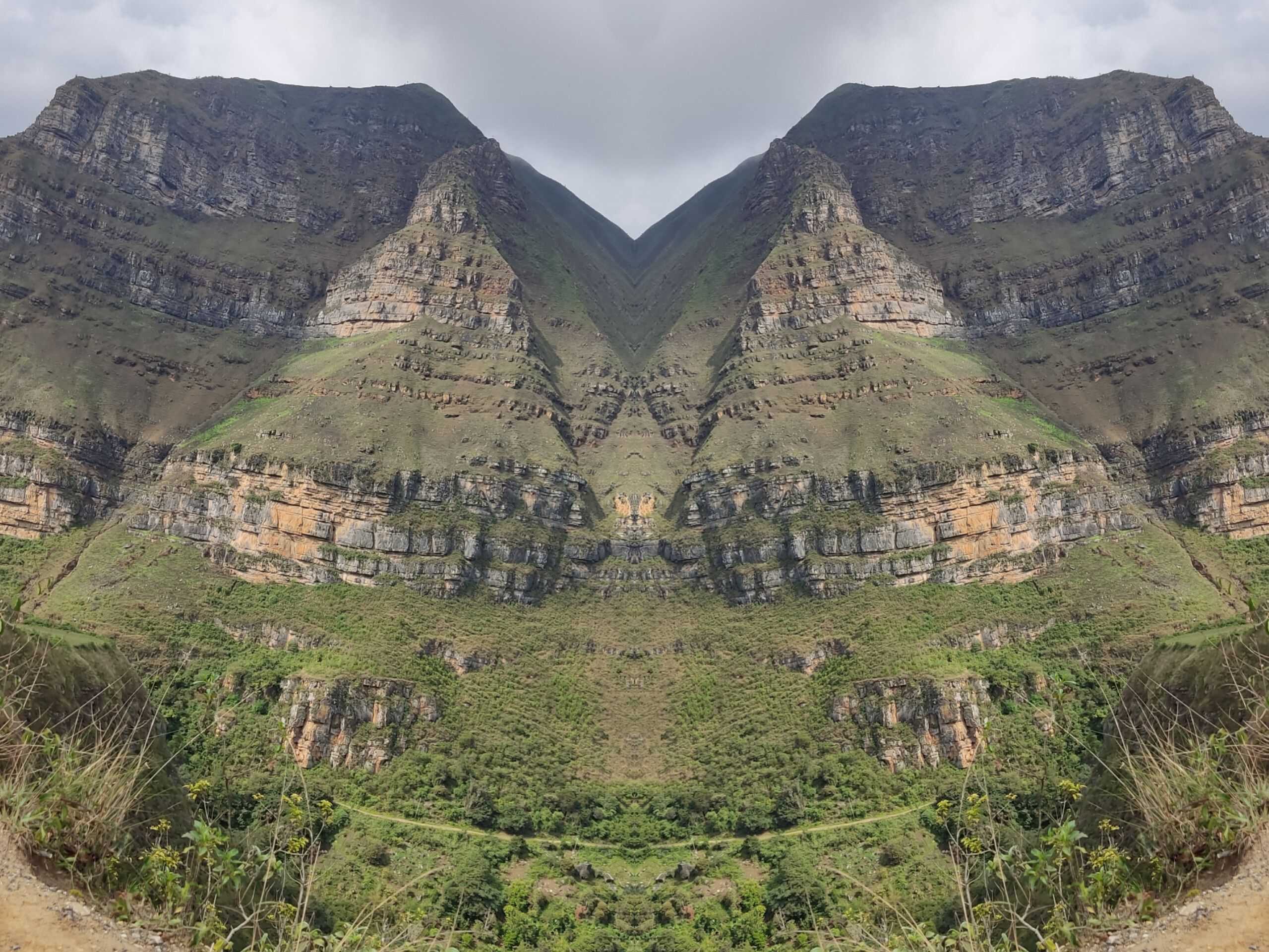 1000049911.jpg