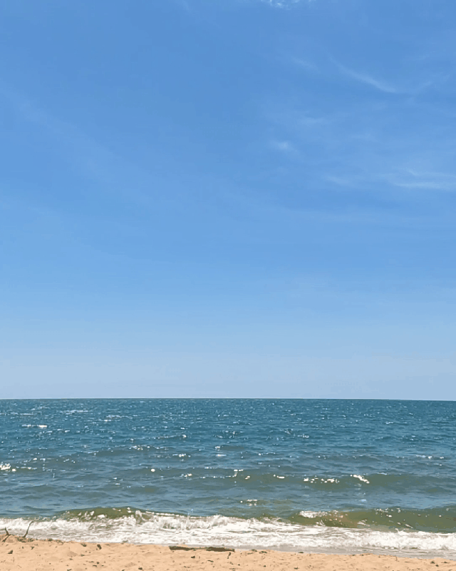 3b2f408797234b32a1a07a1b4b15015b.gif