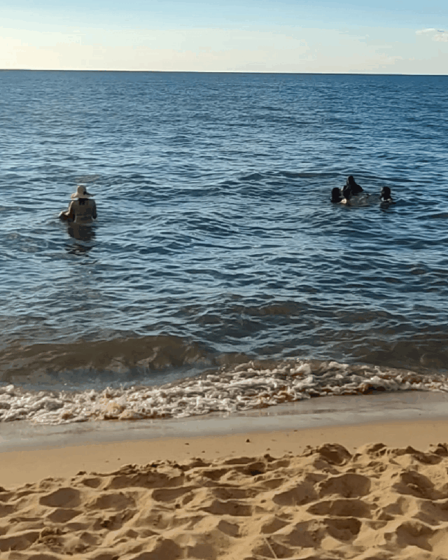 29d4b644825f47d1b2992e1af22e5a3d.gif