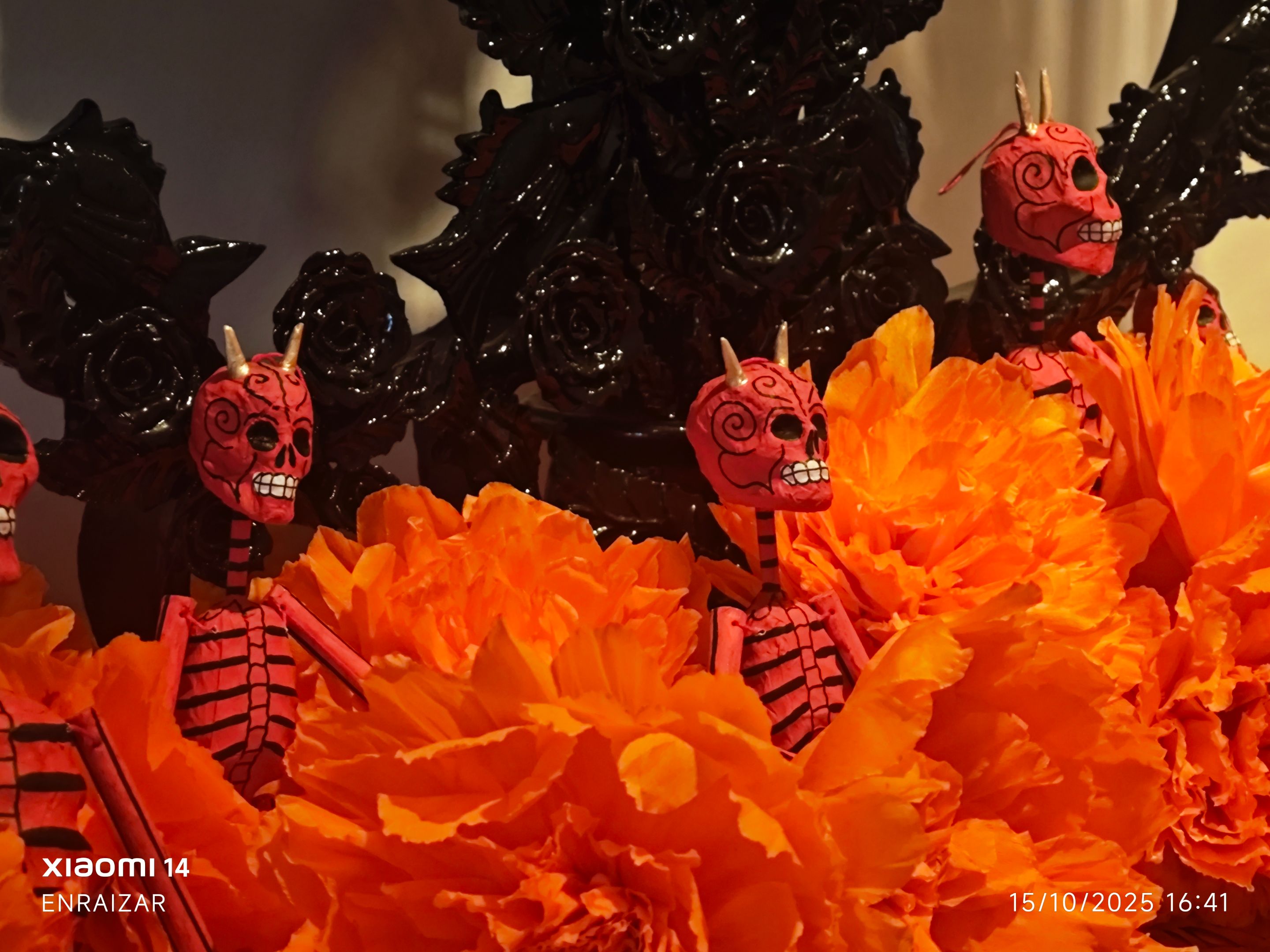 IMG_20251015_164119 (1).jpg