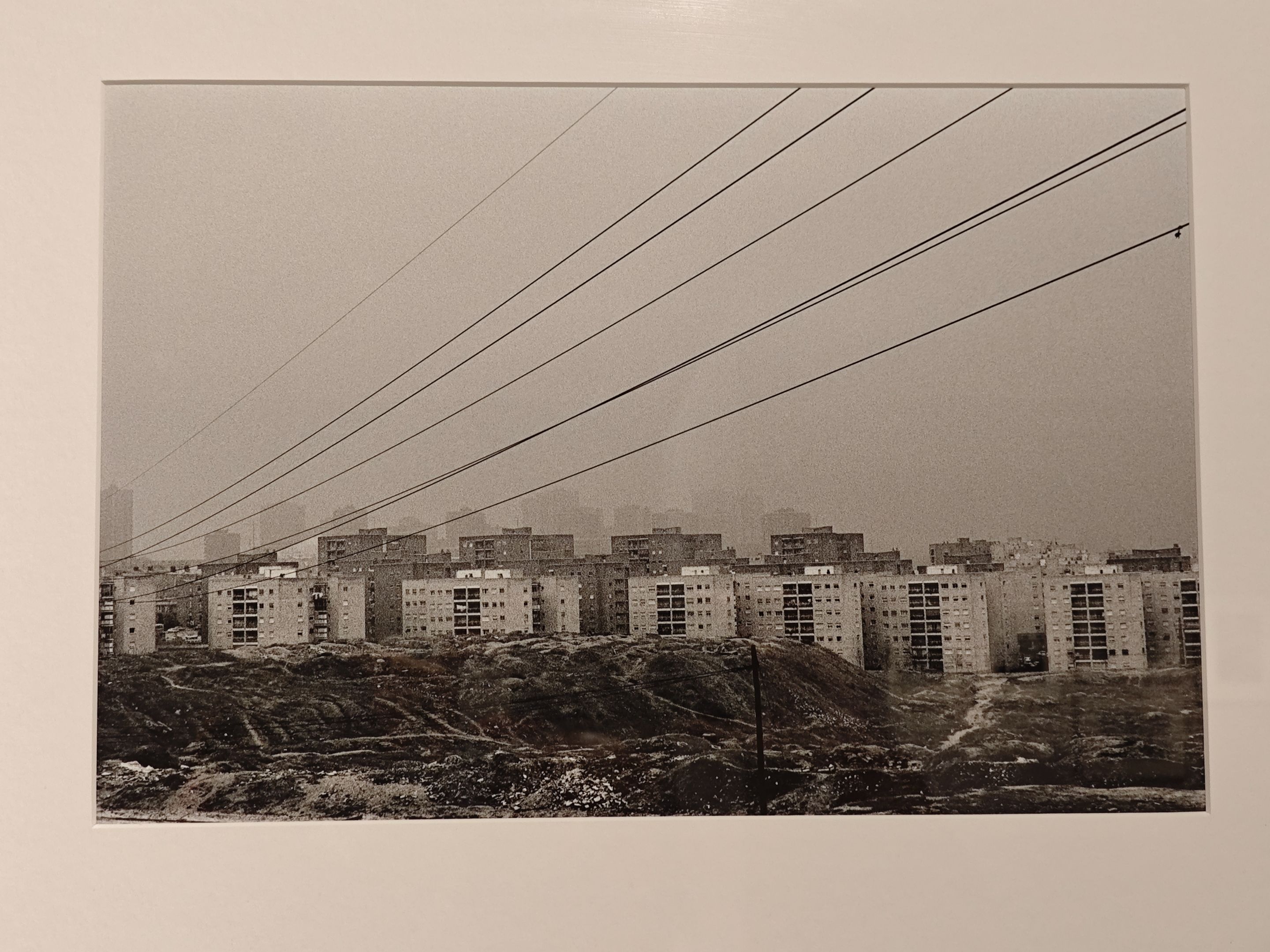 IMG_20240718_184026 - copia.jpg