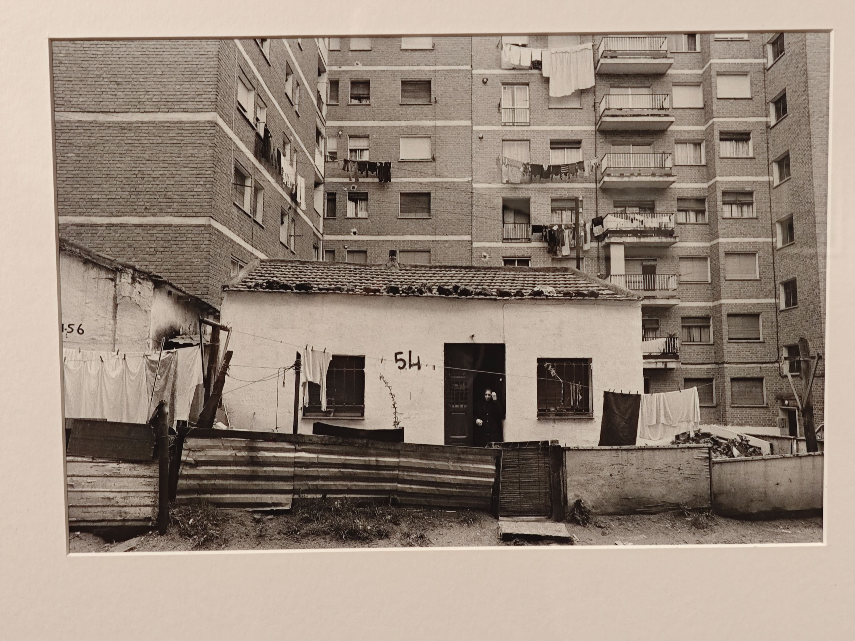 IMG_20240718_183419 - copia.jpg