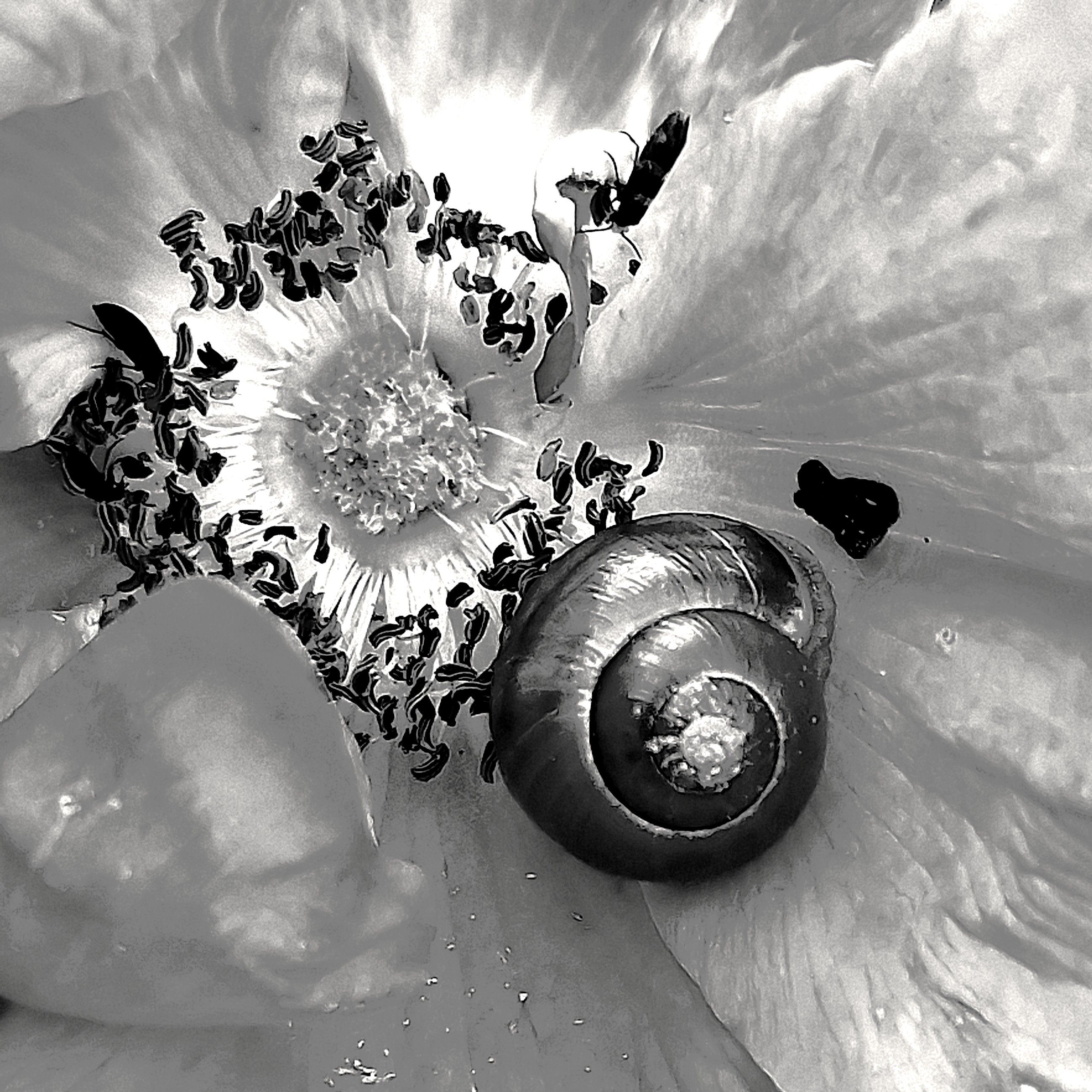 20250602_154836ææ.jpg