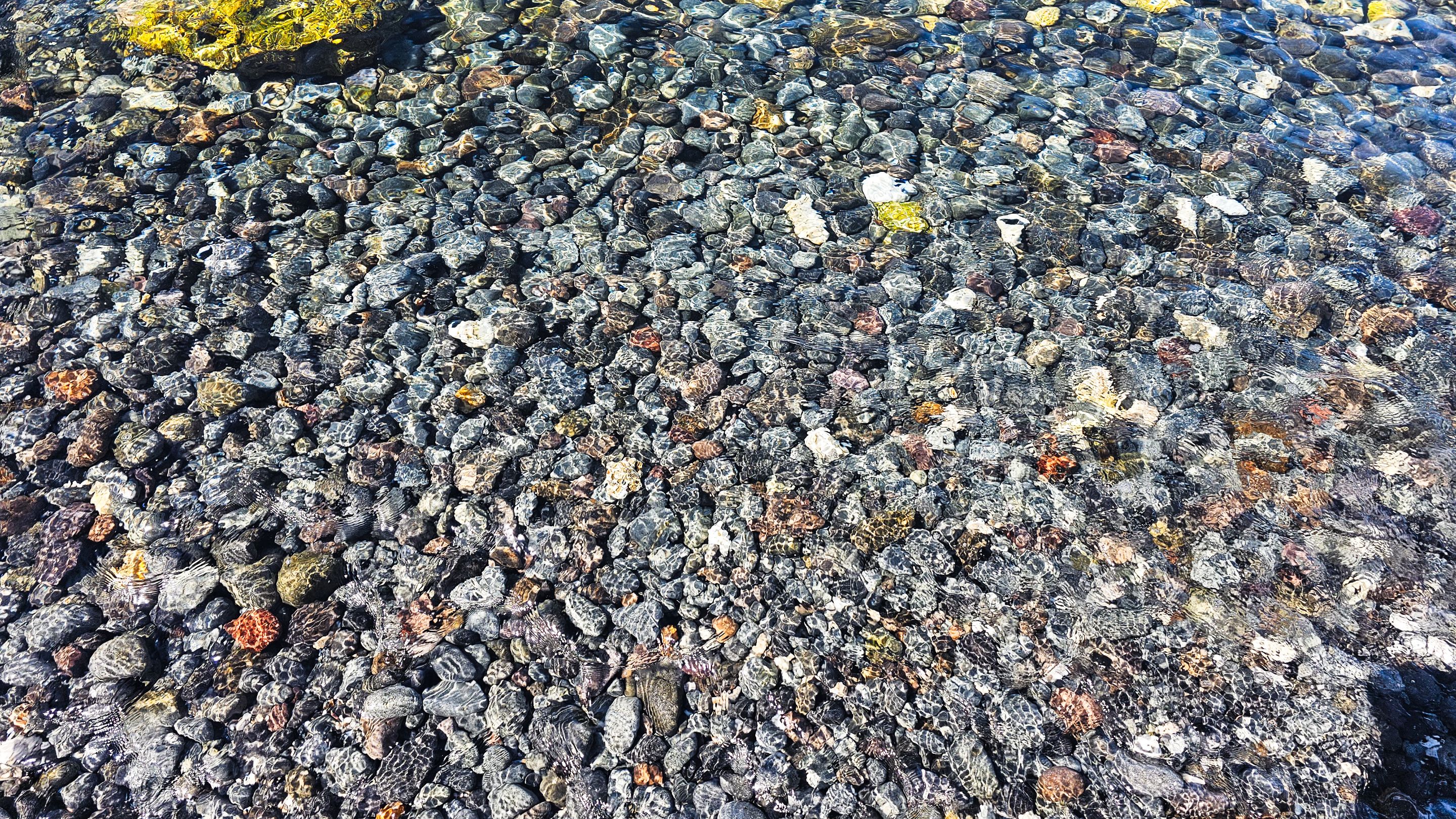 20231112_095950.jpg