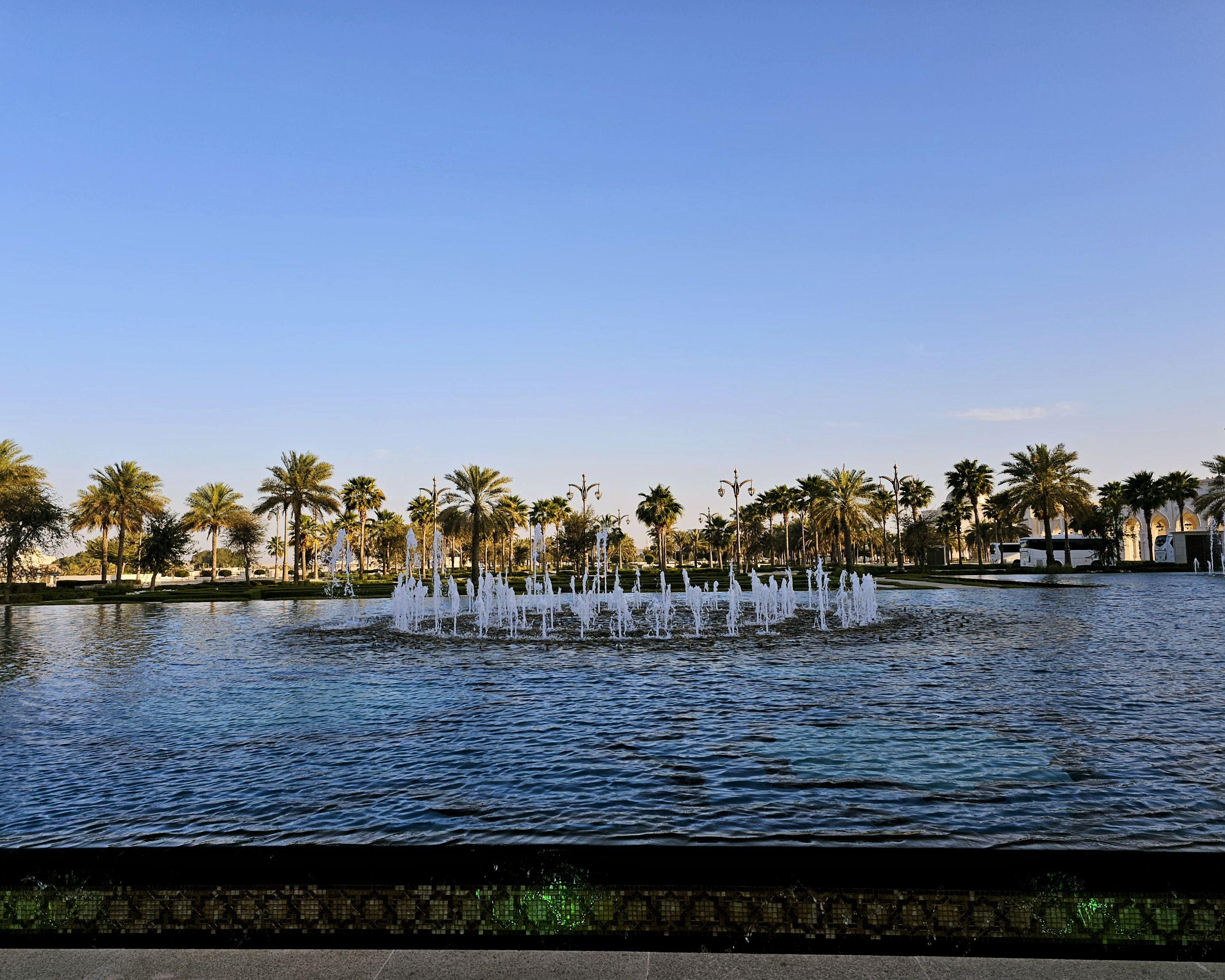 1000033010.jpg