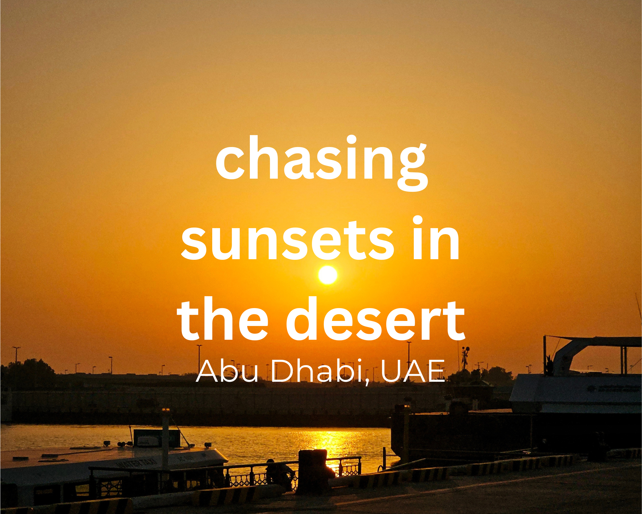 what’s in a desert_20250426_205137_0000.png