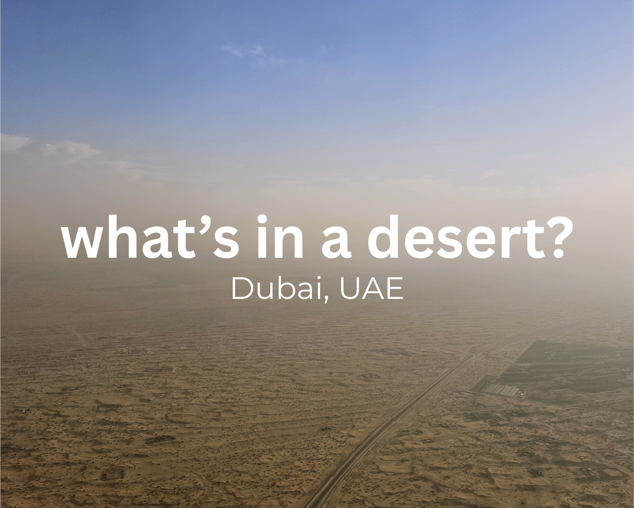 what’s in a desert.png
