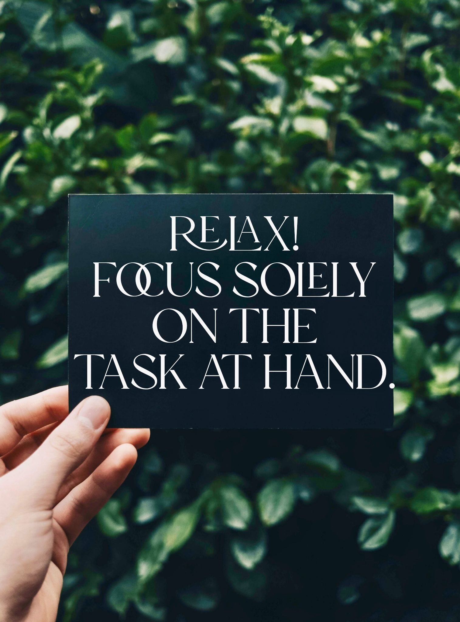 Relax.jpeg/