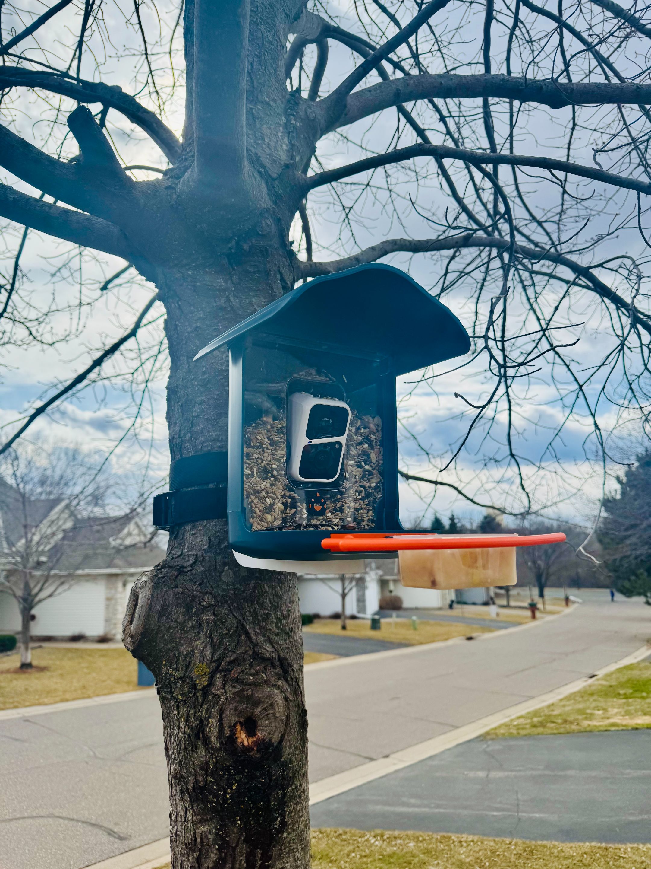 Birdhouse.jpg