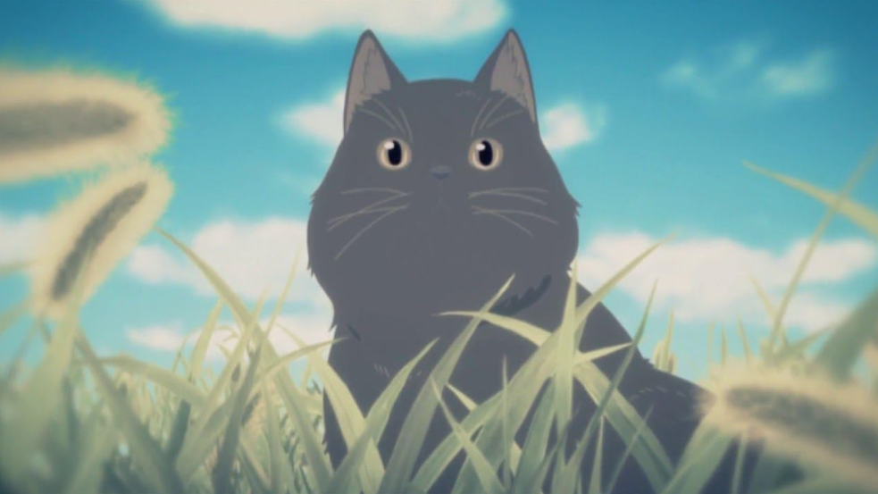 Captura de pantalla 2025-09-09 204037.png