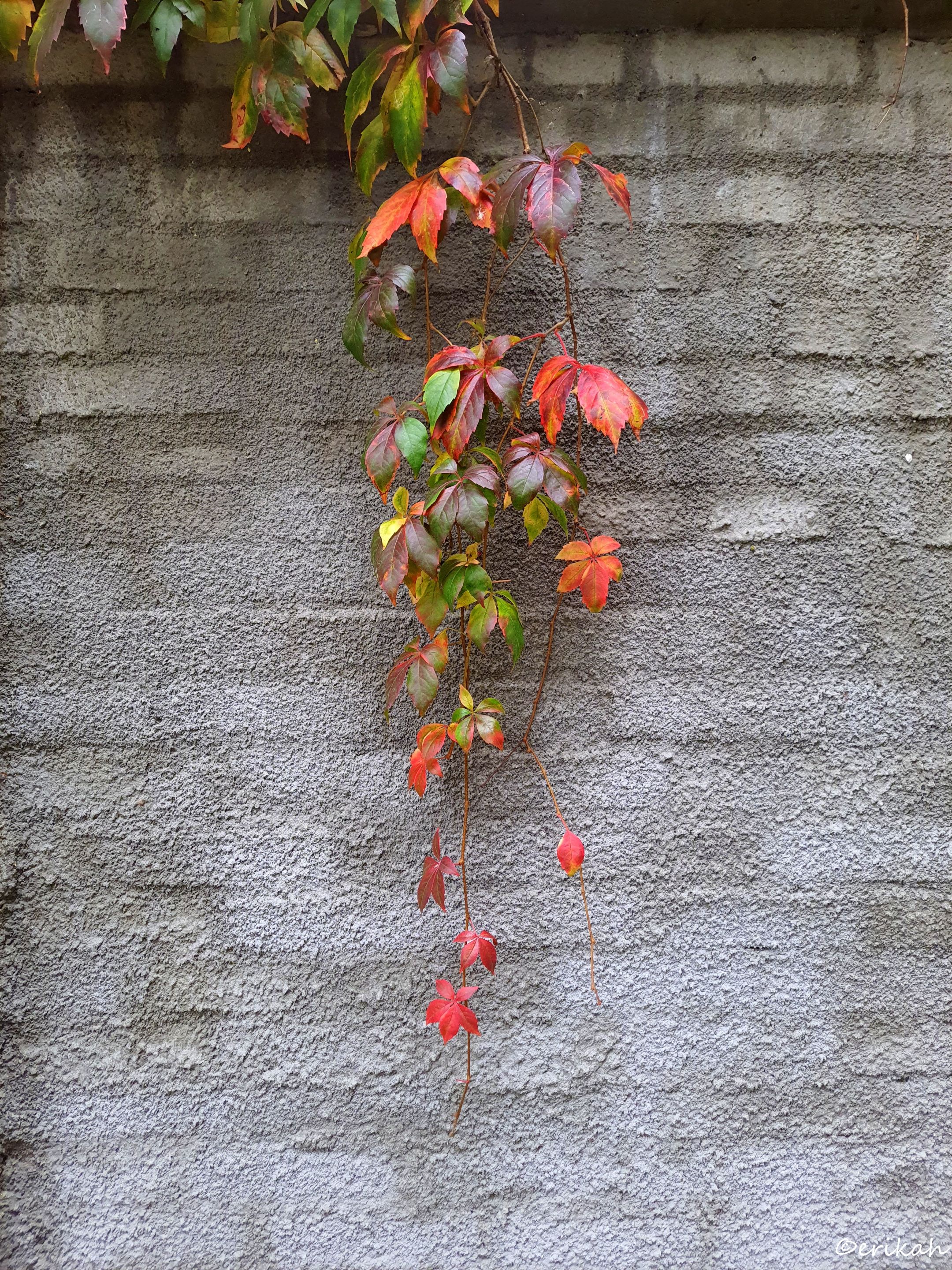 20221004_112323a.jpg