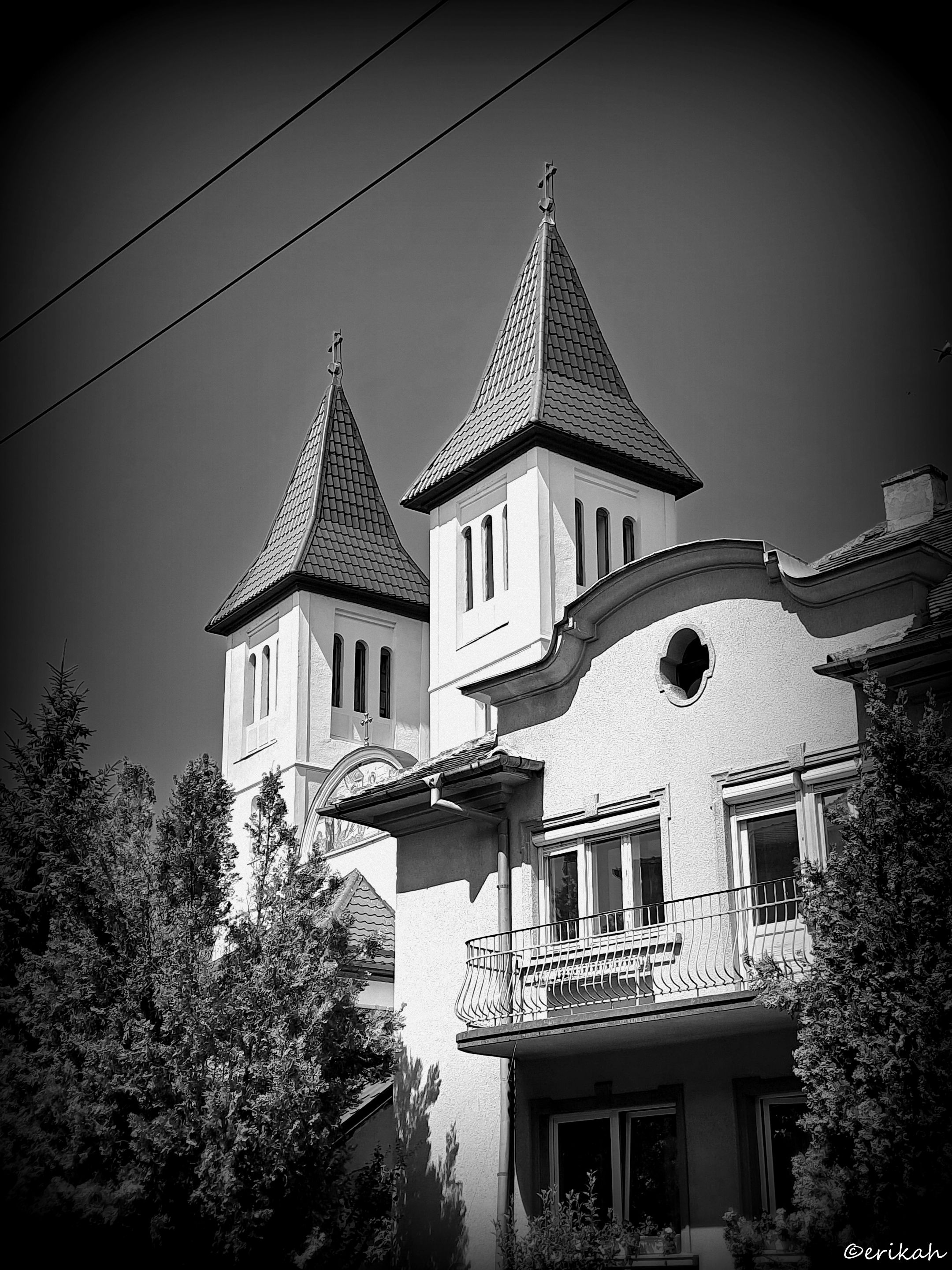 20220720_113608a.jpg