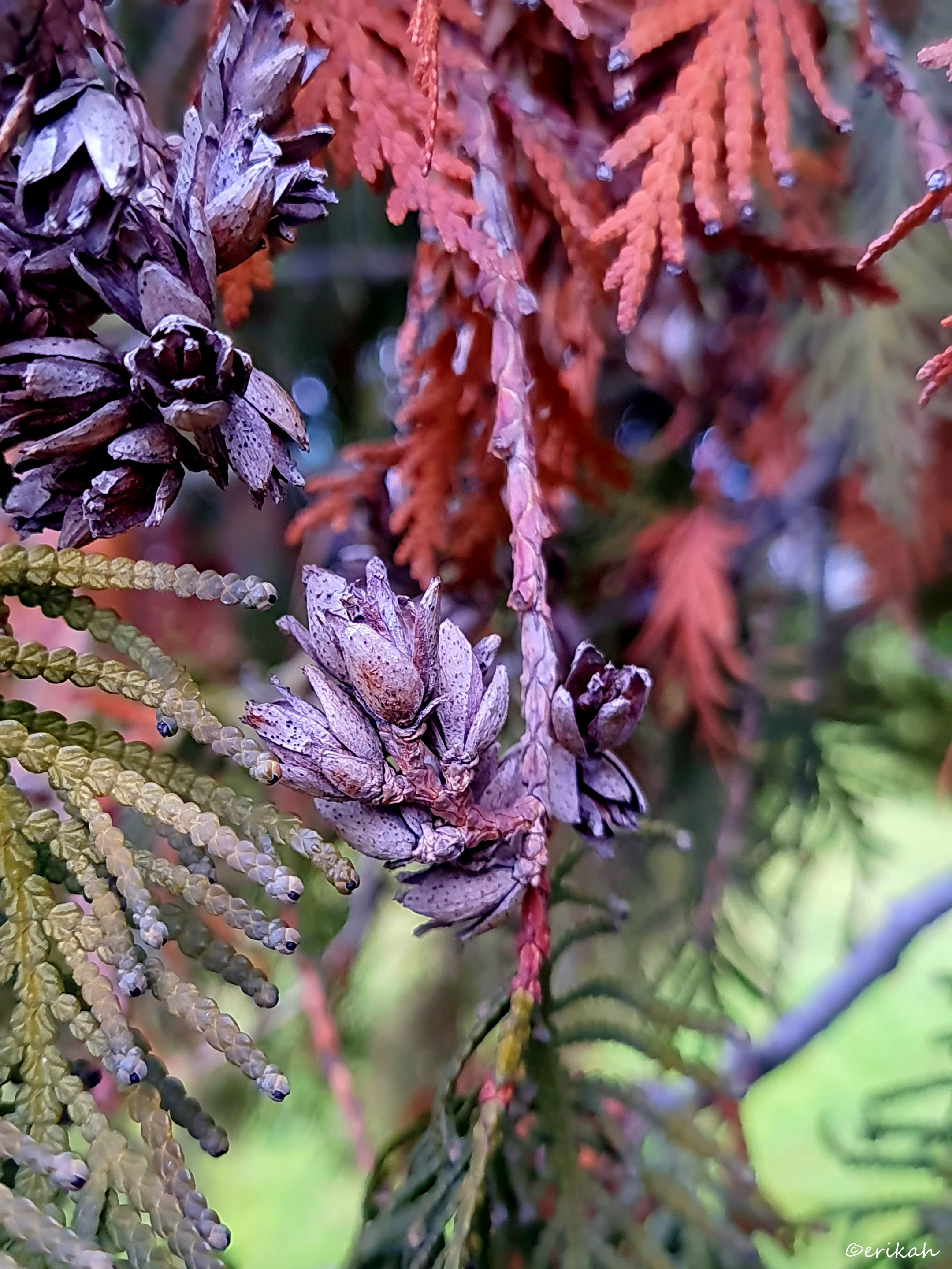 20220111_103301a.jpg