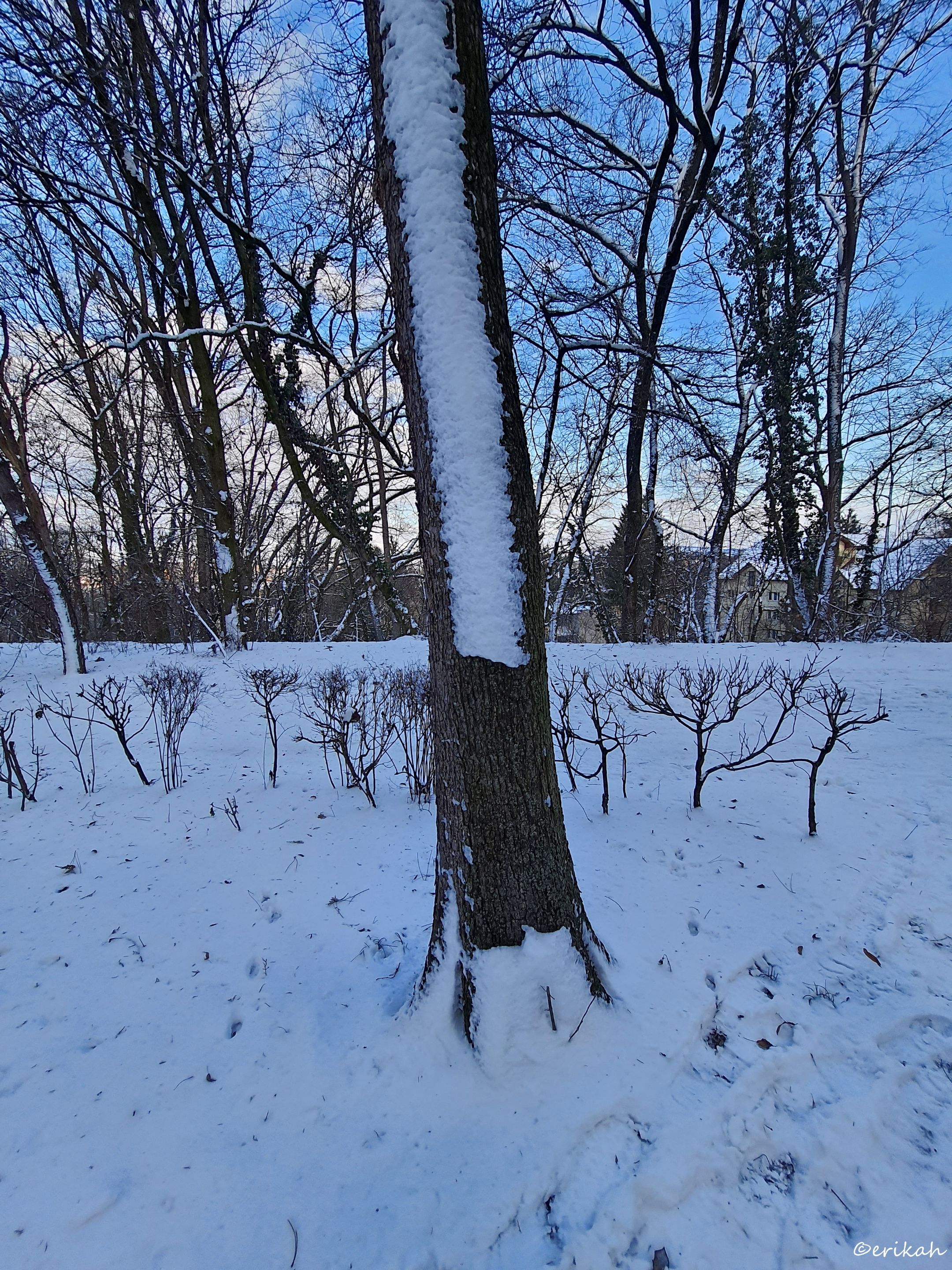 20220118_084746(0)a.jpg