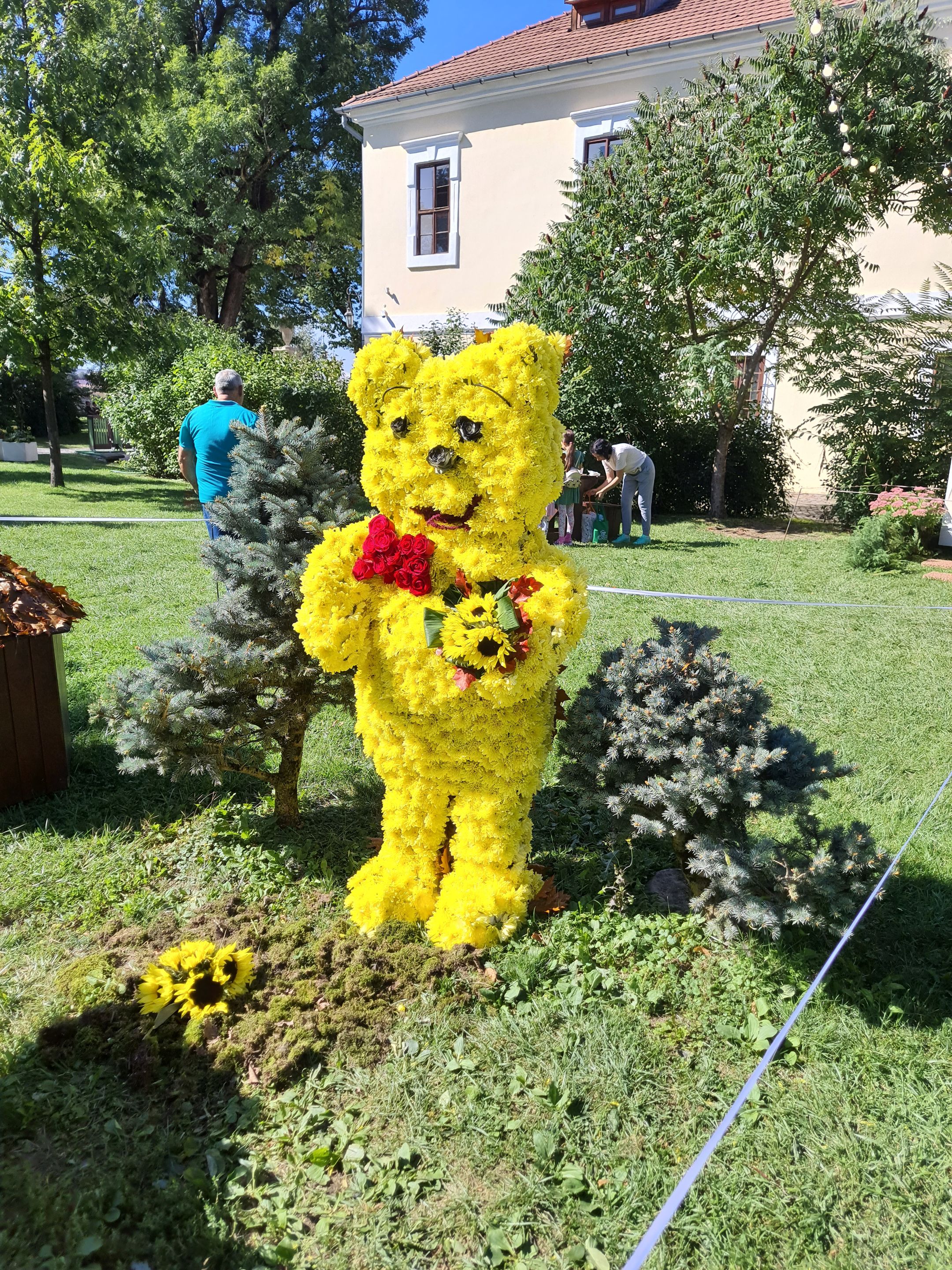 20250920_115714.jpg