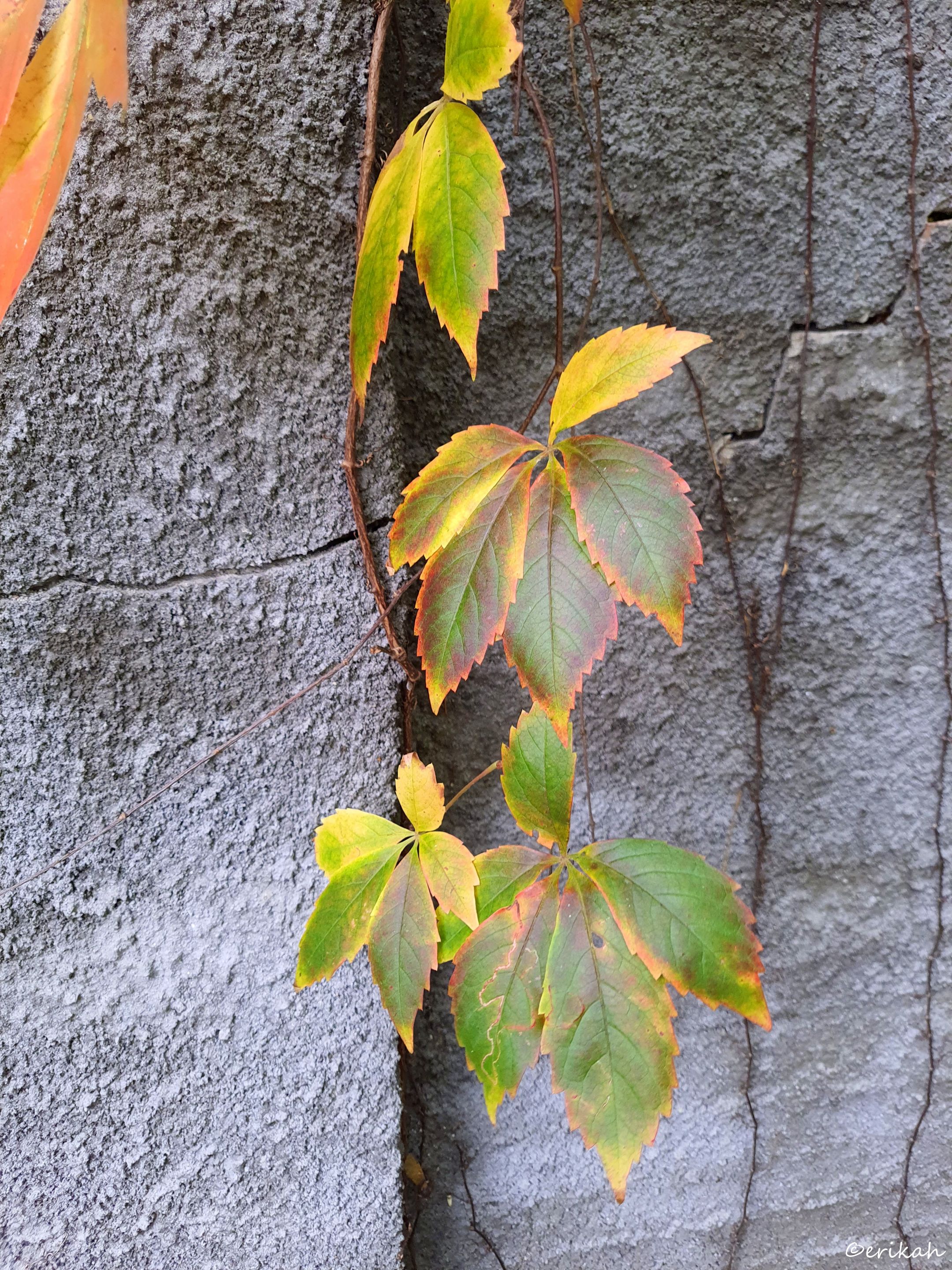 20221004_112358a.jpg