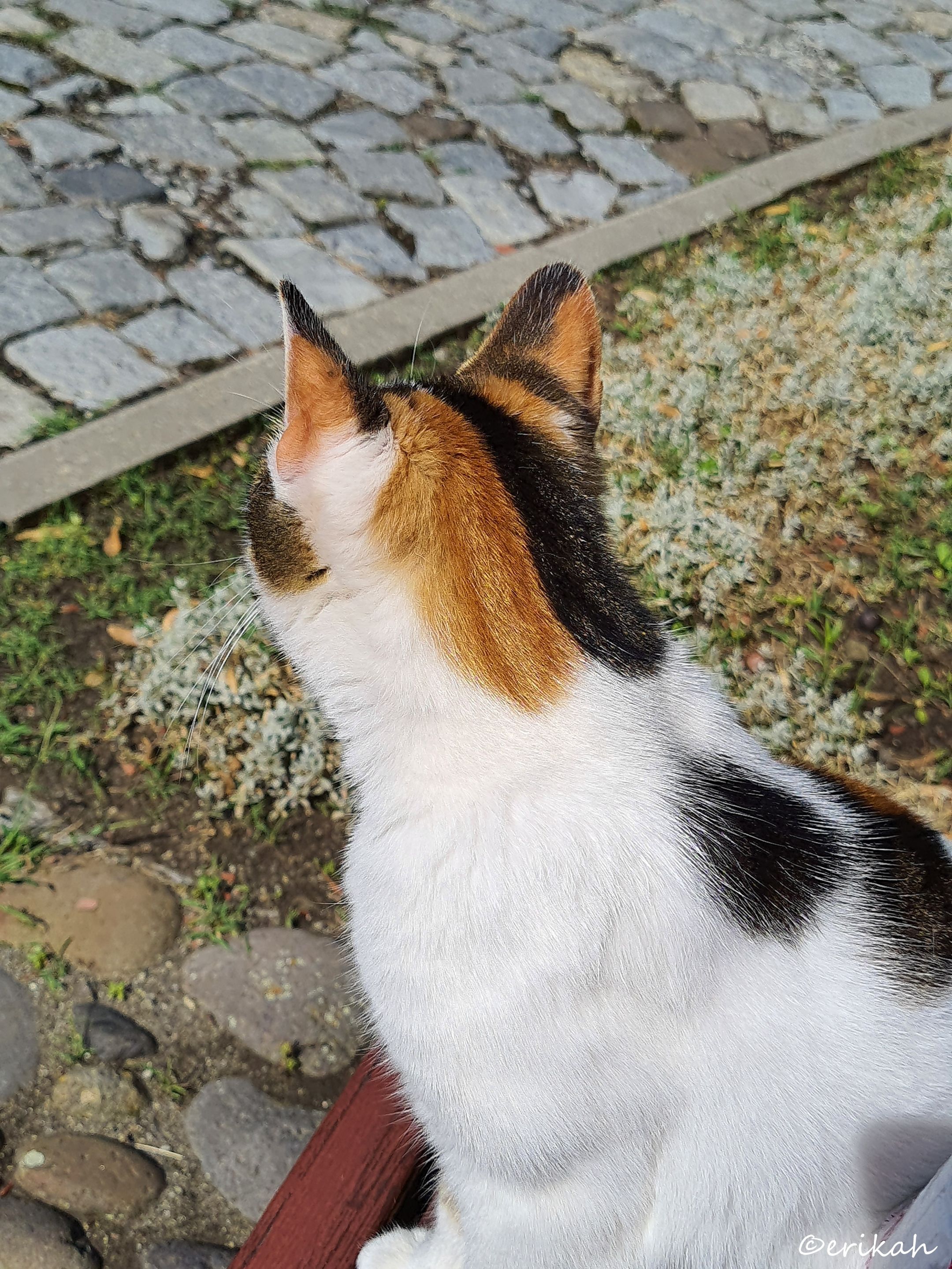 20230720_101831a.jpg