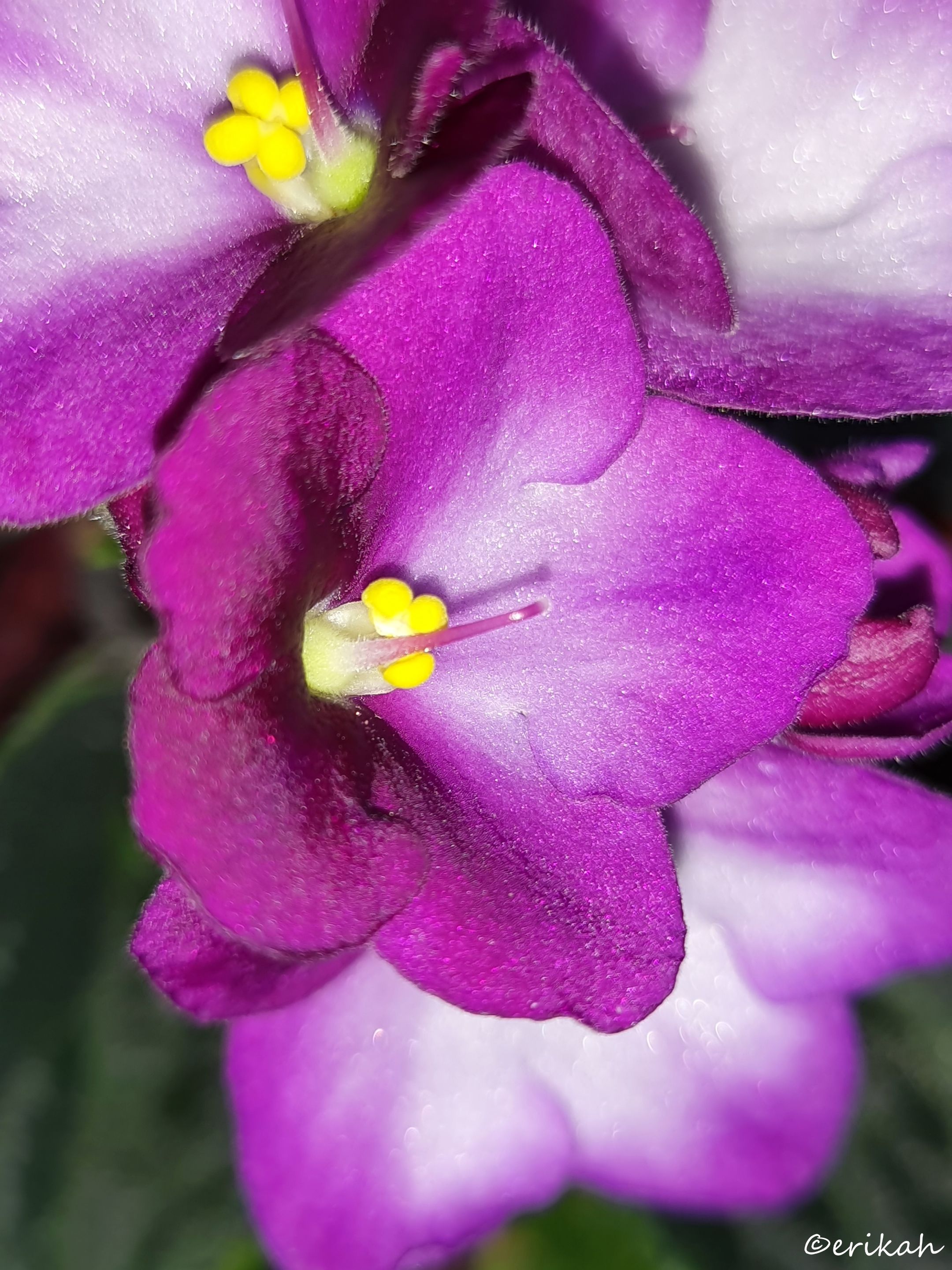 20240510_194054a.jpg