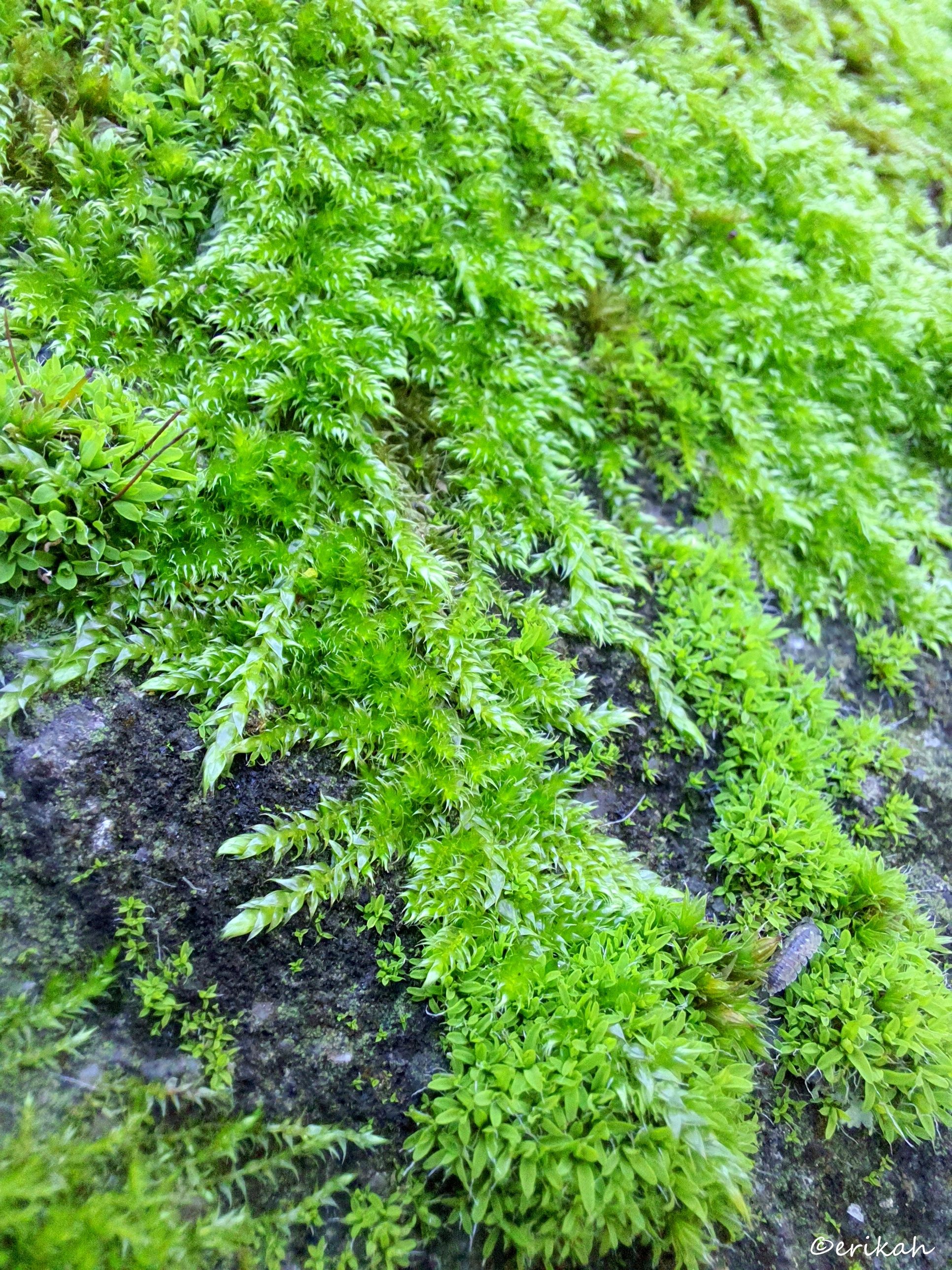 20221010_115253a.jpg