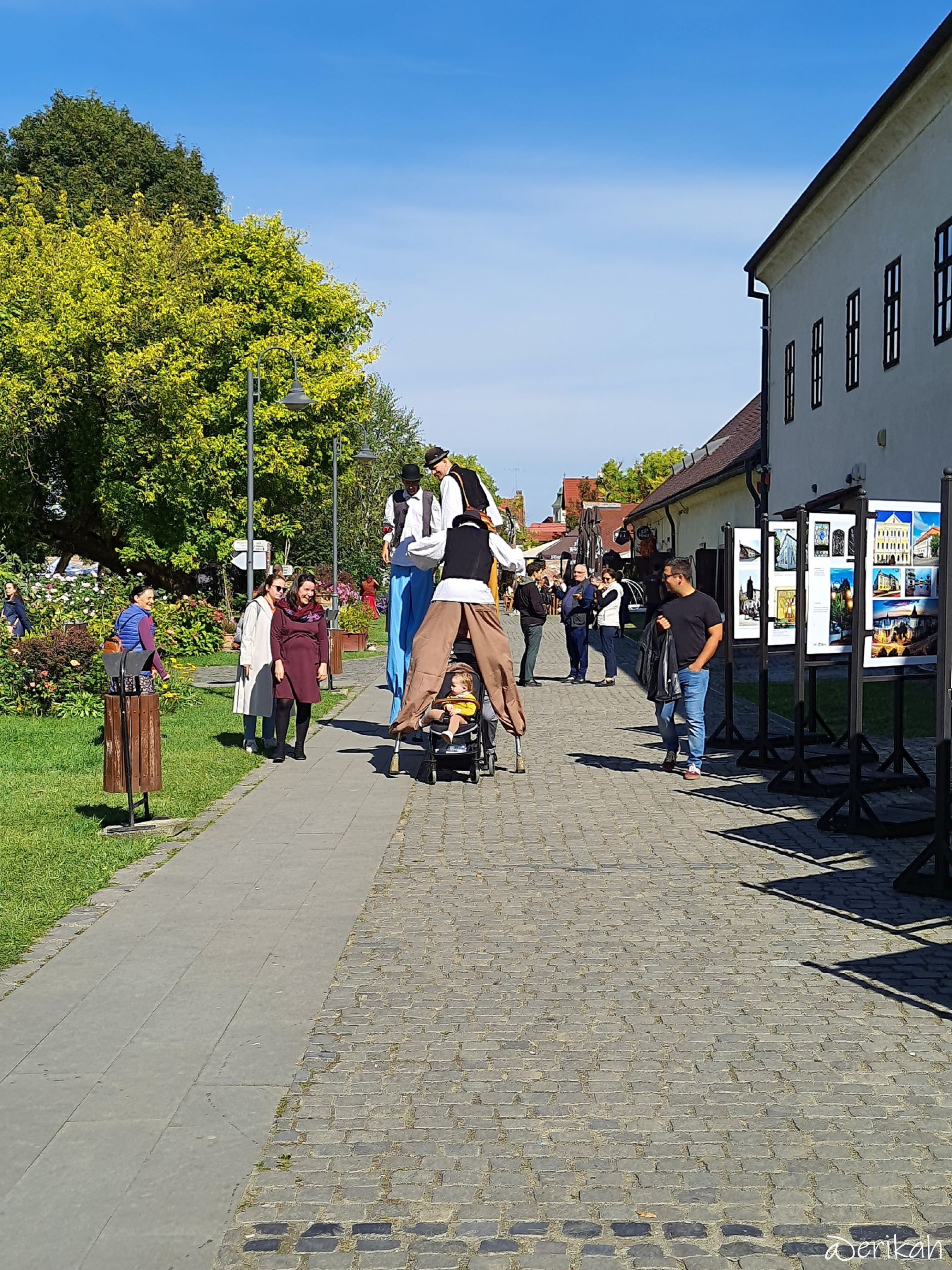 20250928_121743a.JPG