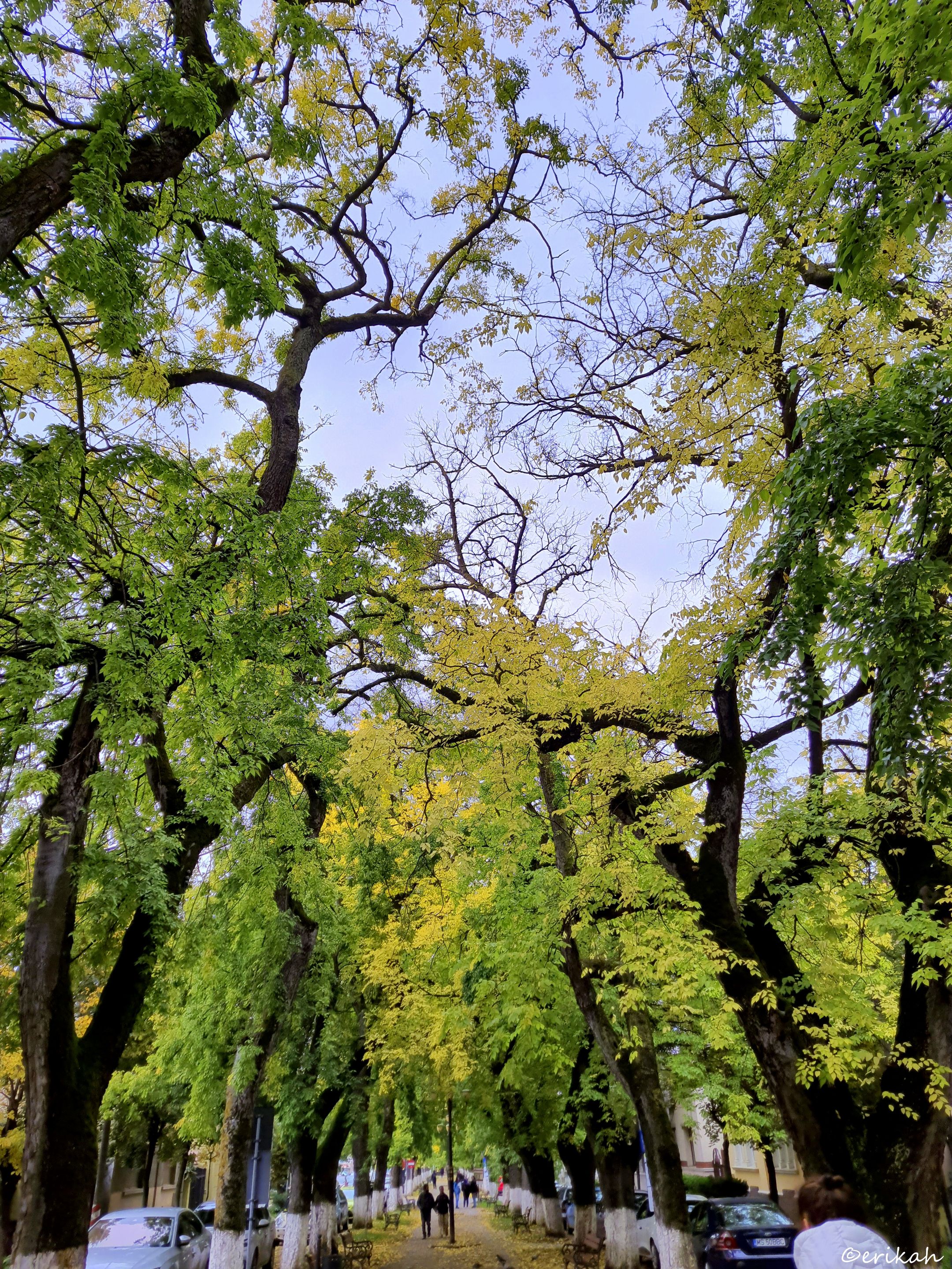 20221004_112650a.jpg