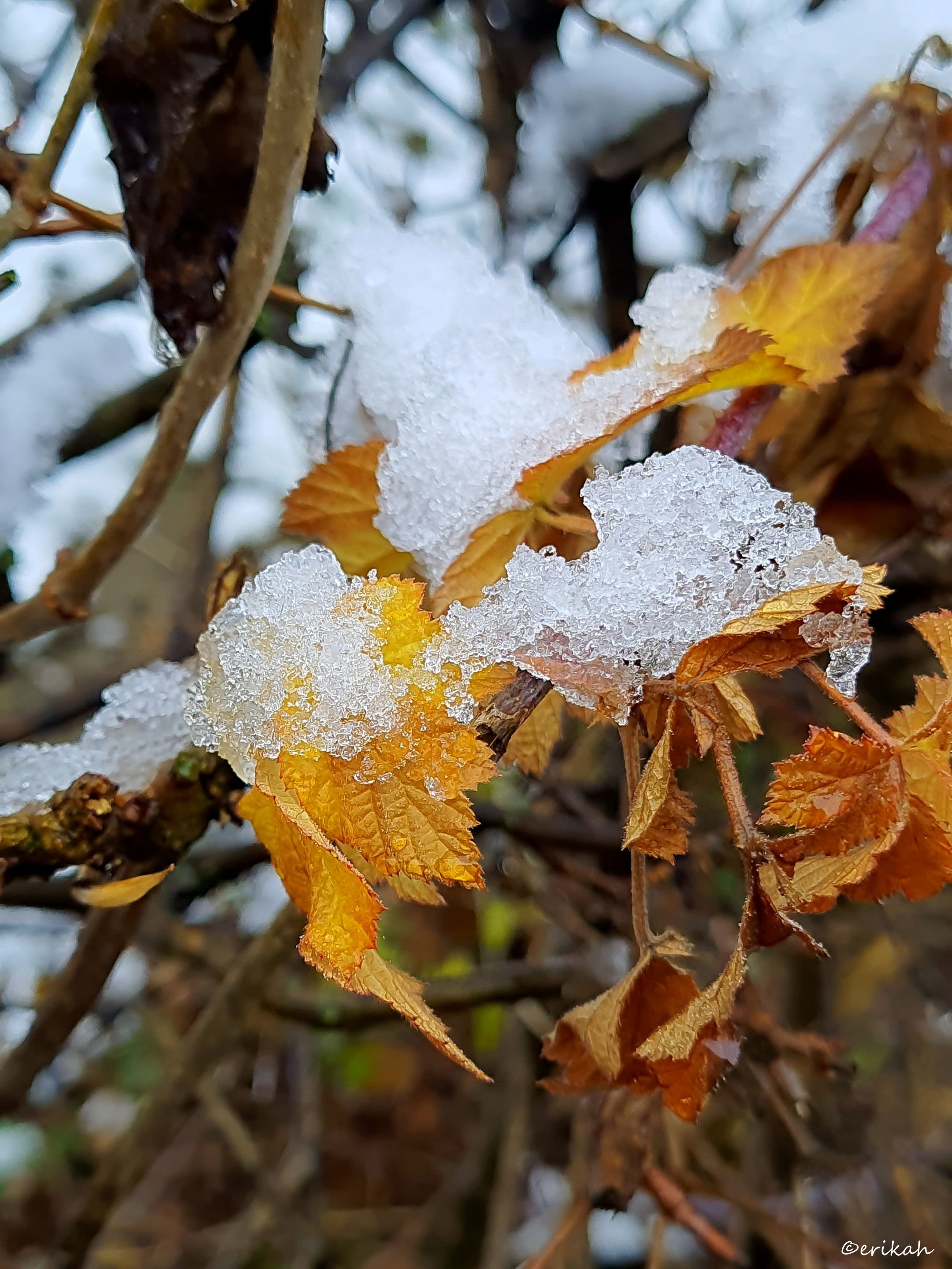 20211217_094718a.jpg