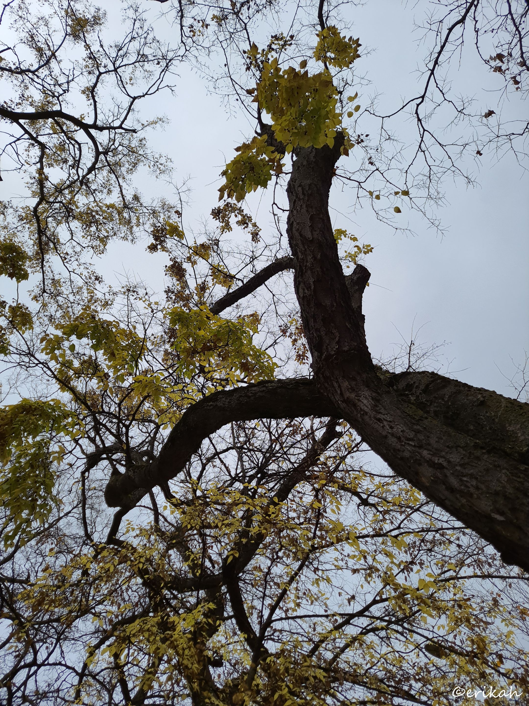 20221026_112911a.jpg
