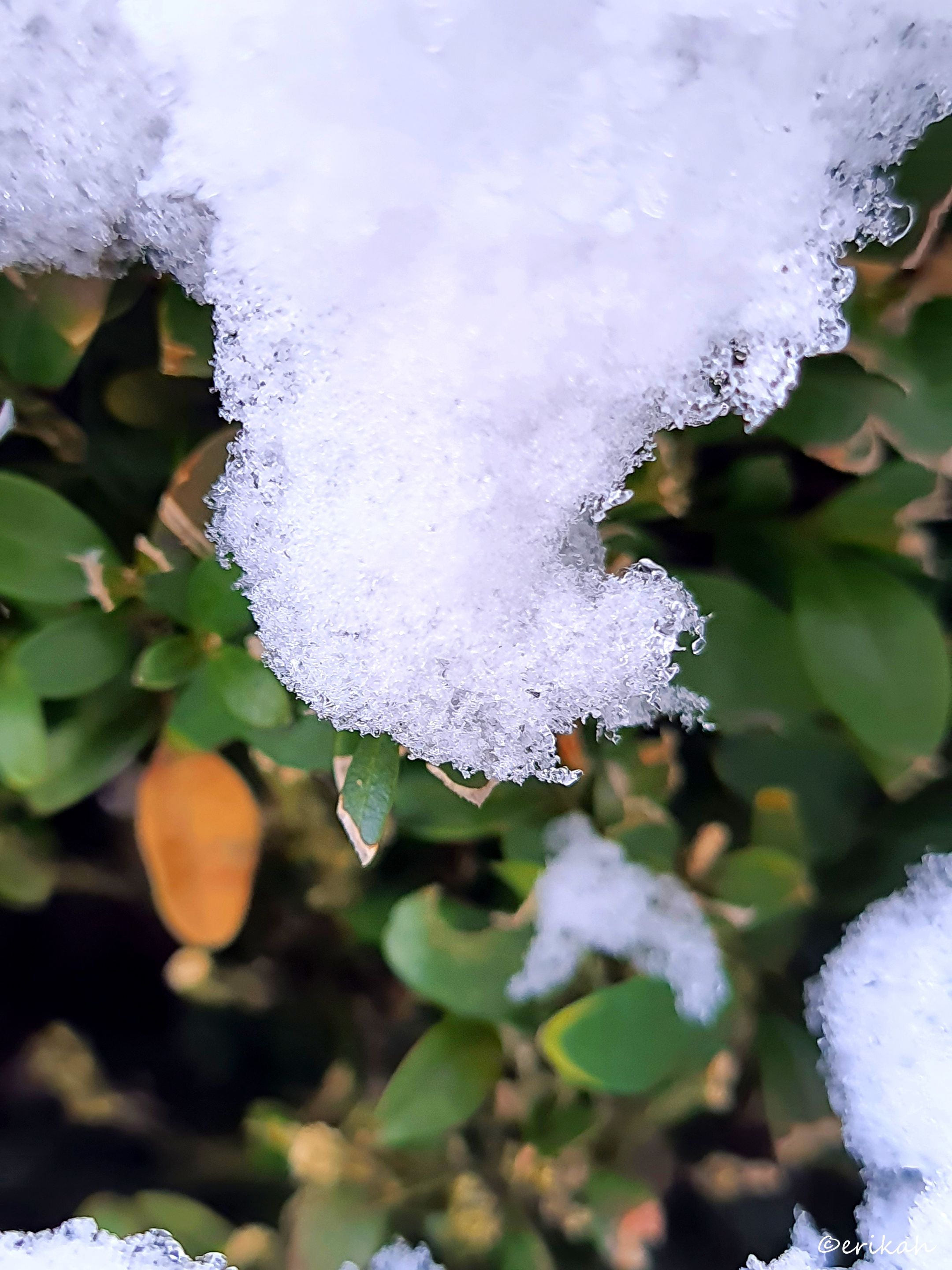 20220118_085849a.jpg