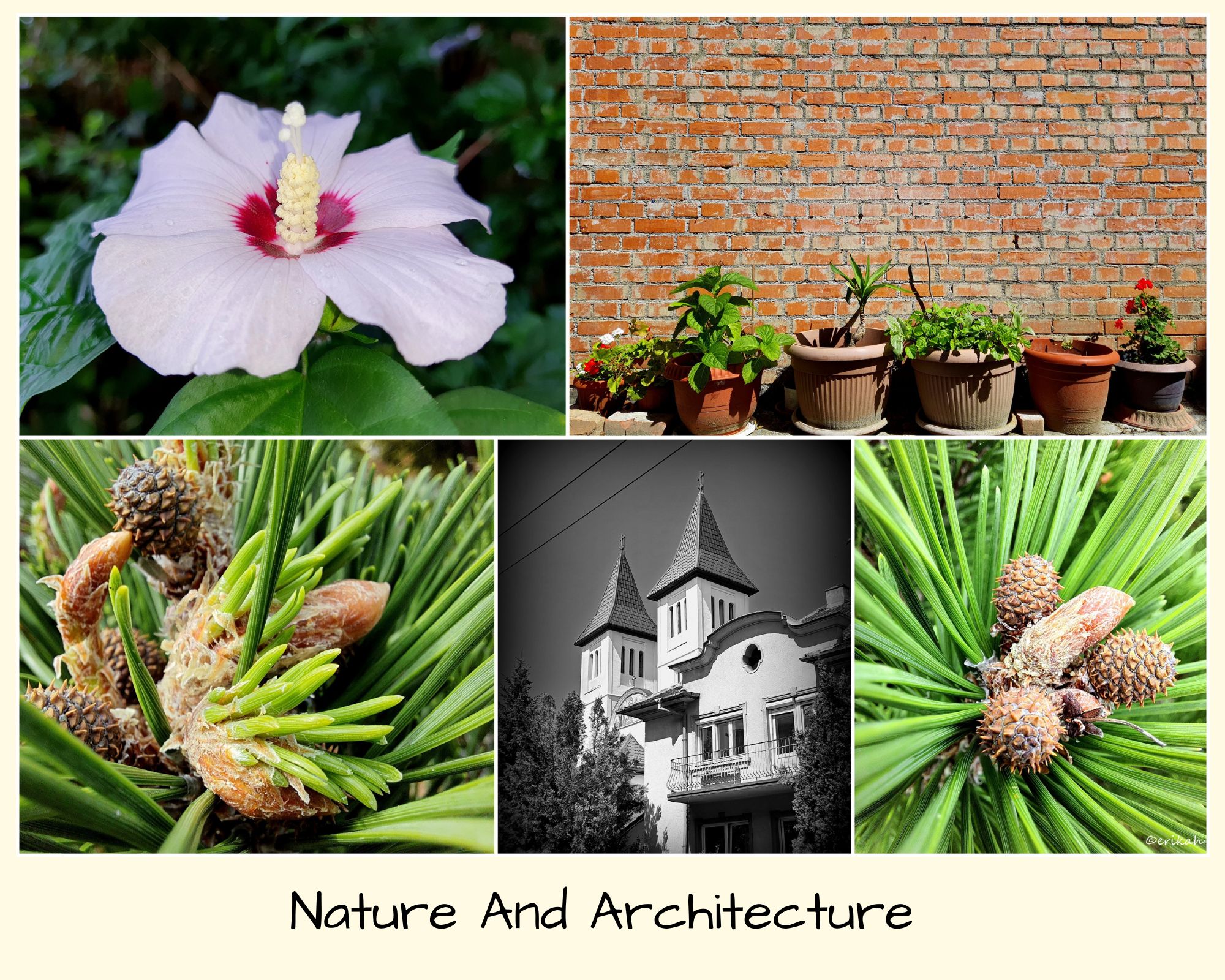Nature And Architecture.jpg