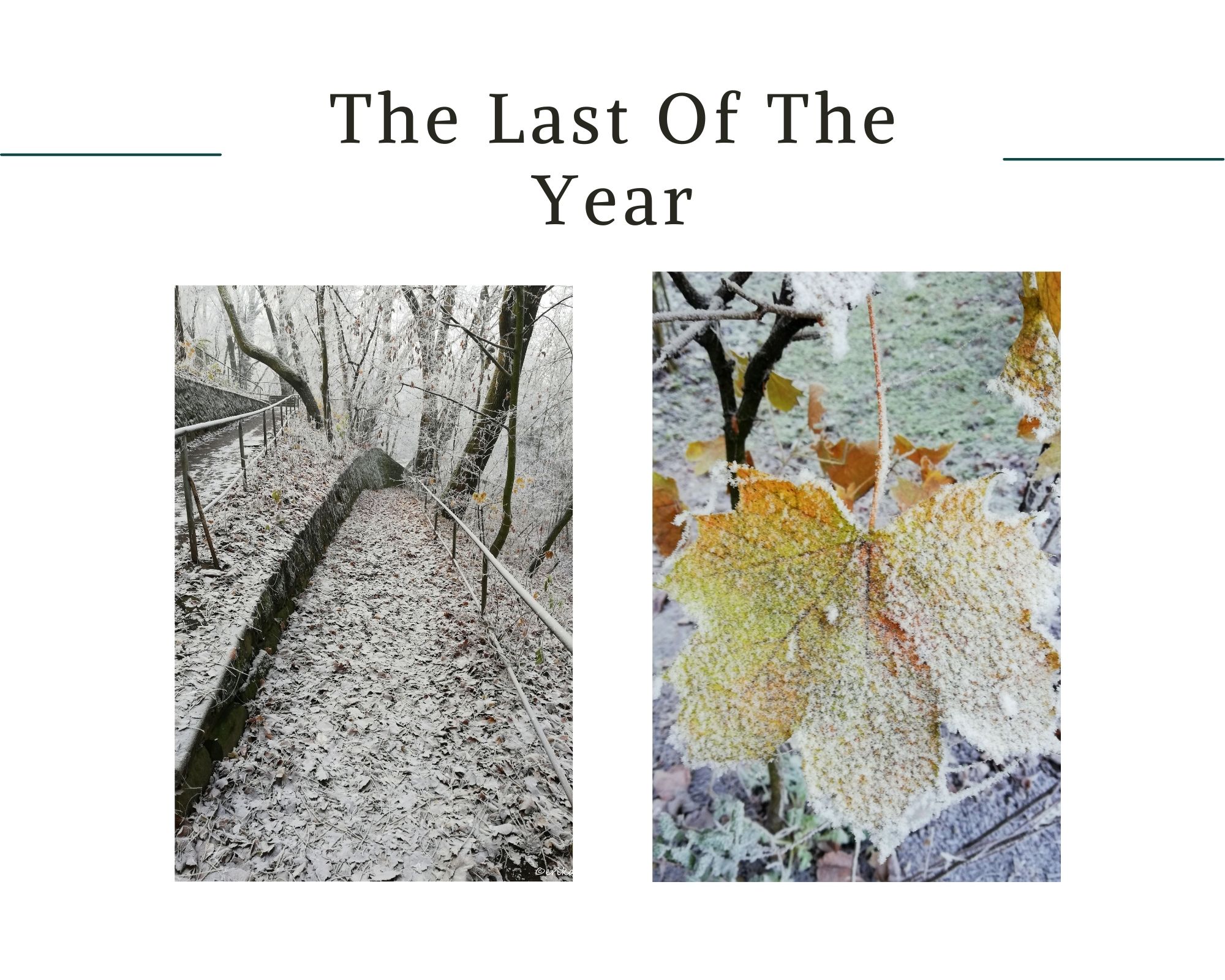 The Last Of The Year.jpg