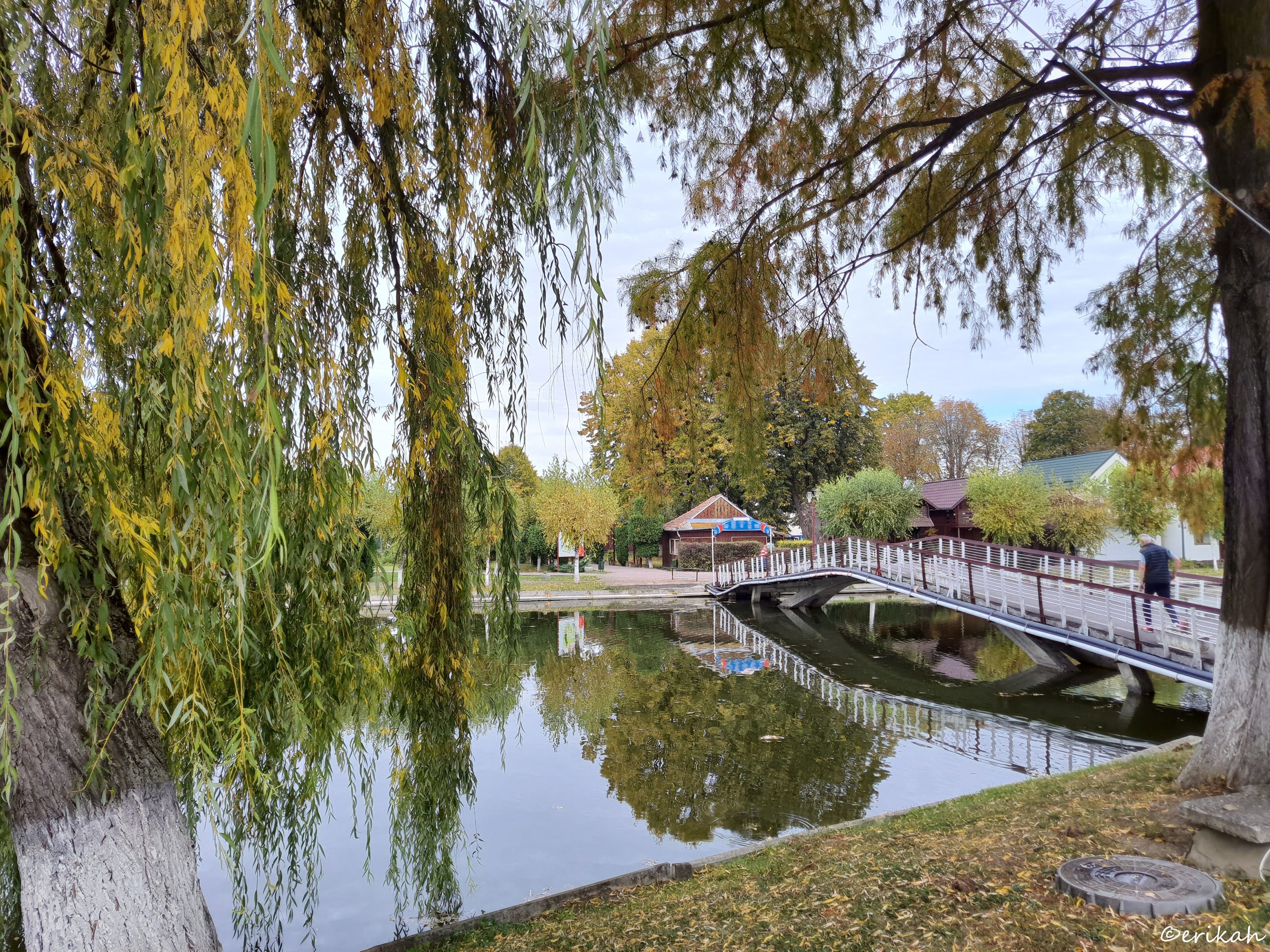 20231022_104241a.jpg