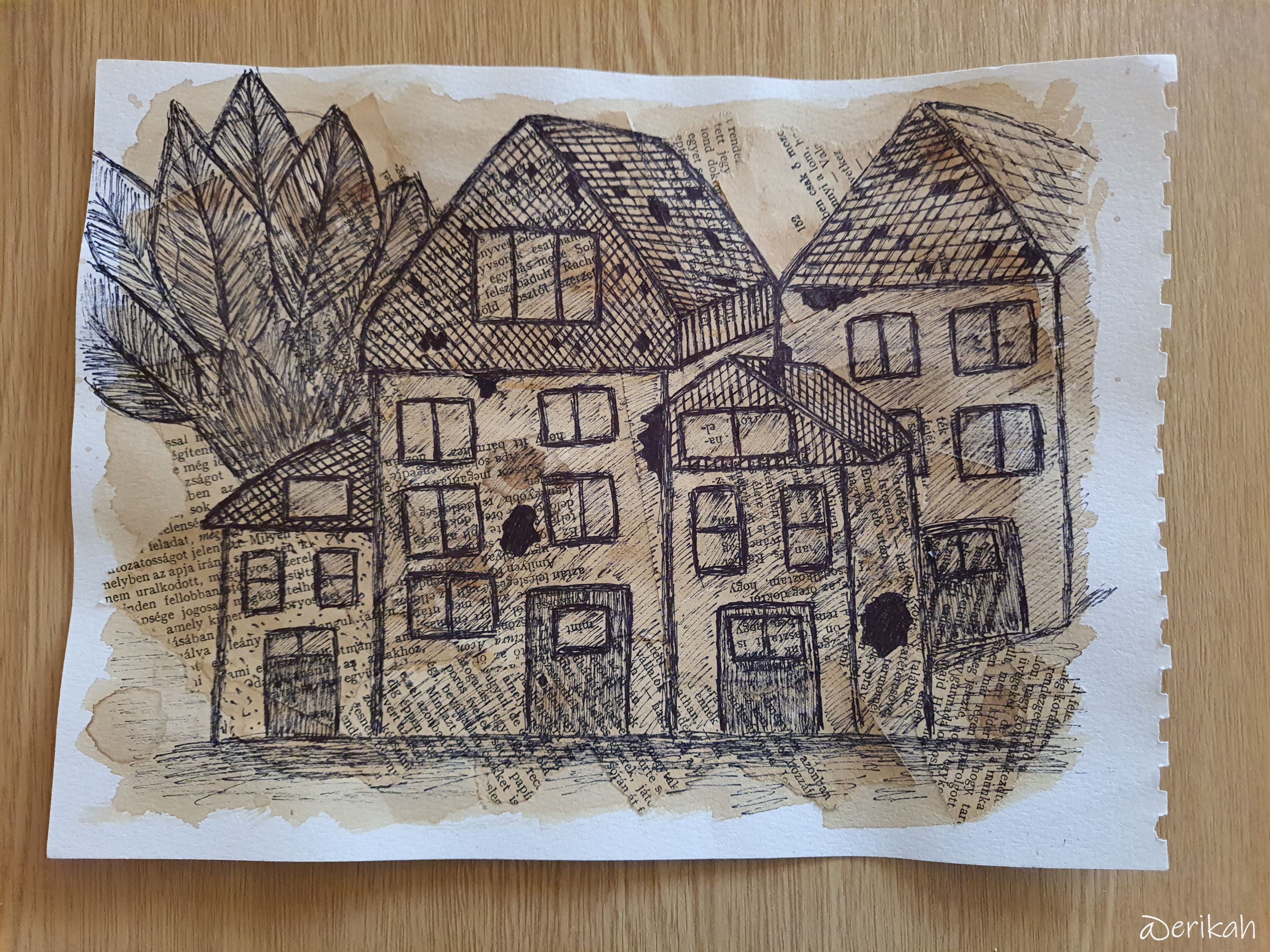 20250917_141612a.JPG