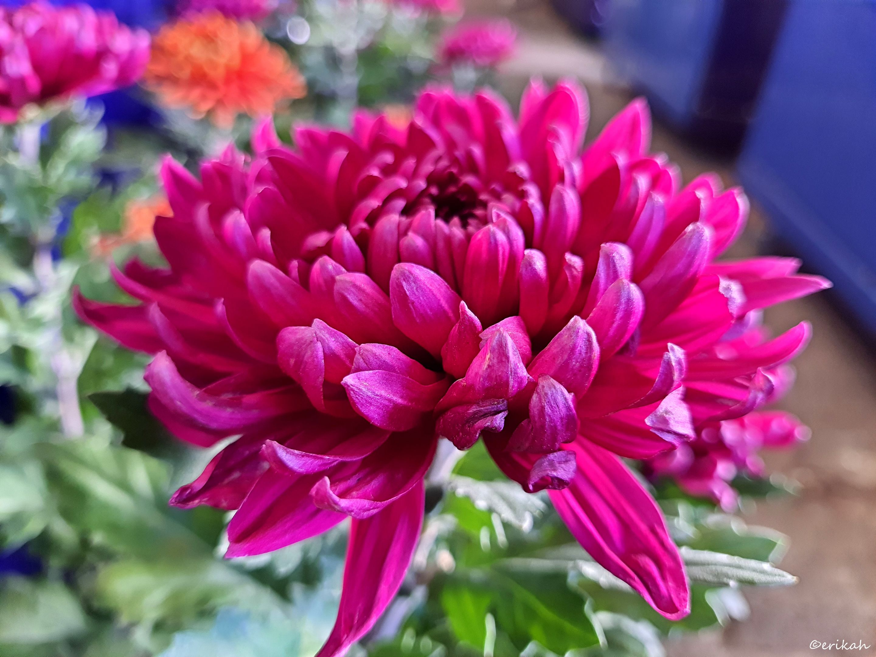 20221028_113101a.jpg