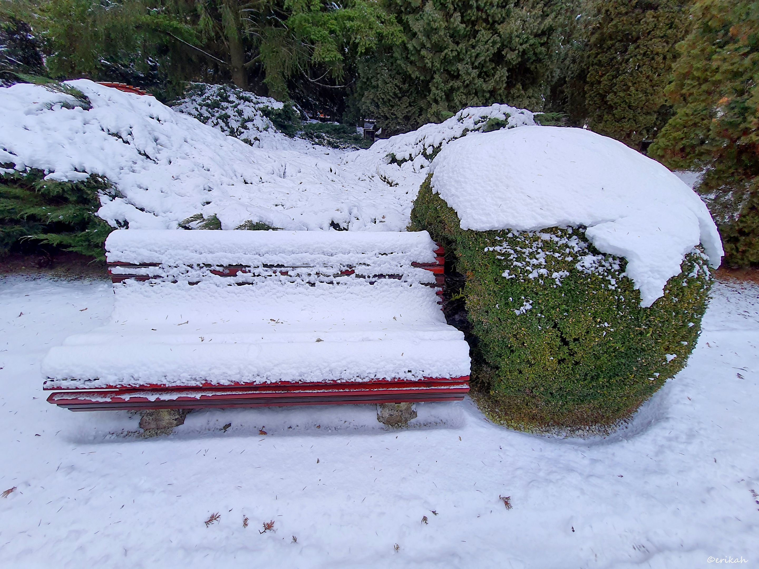 20220118_090143a.jpg