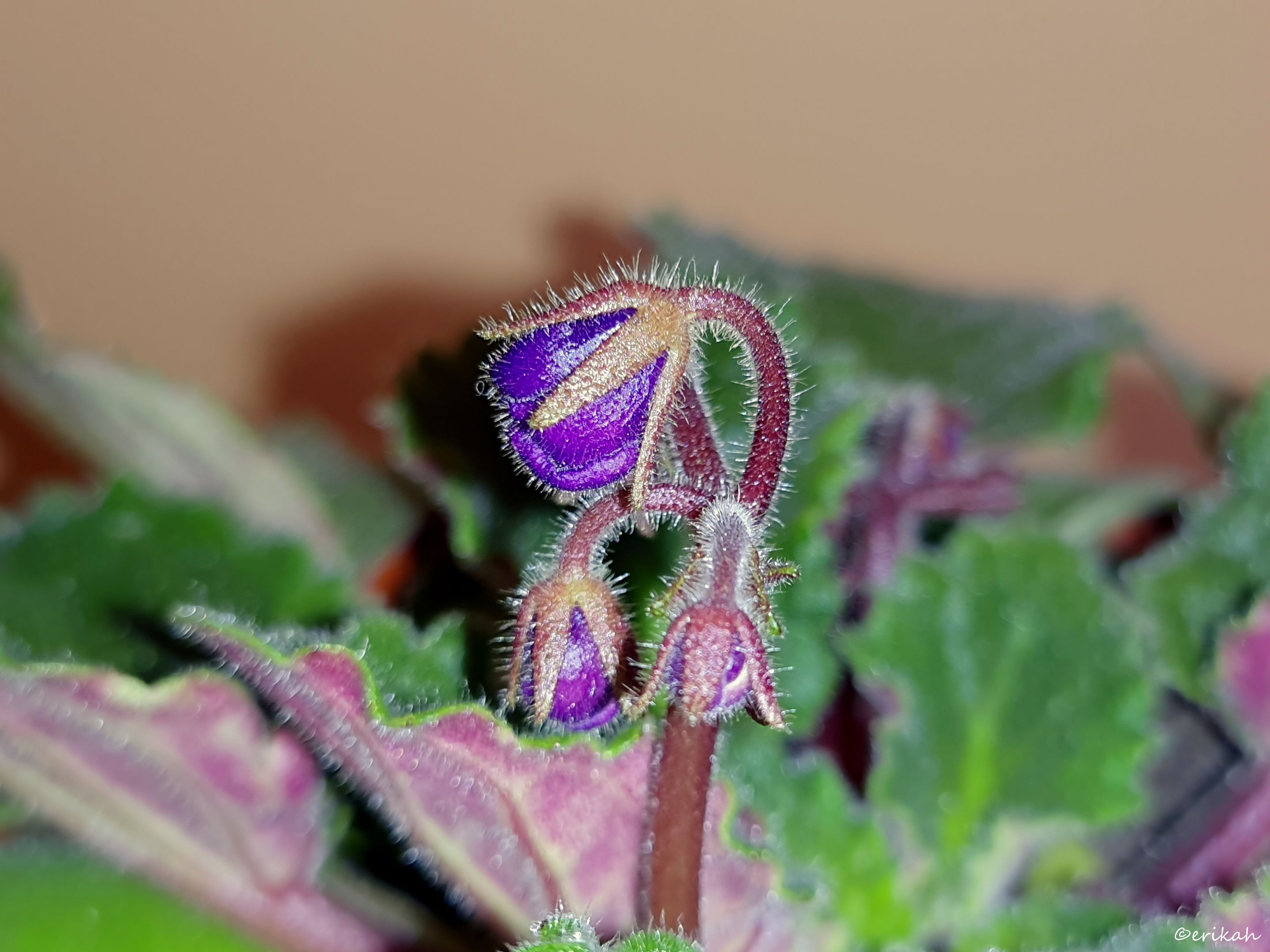 20230501_115253a.jpg