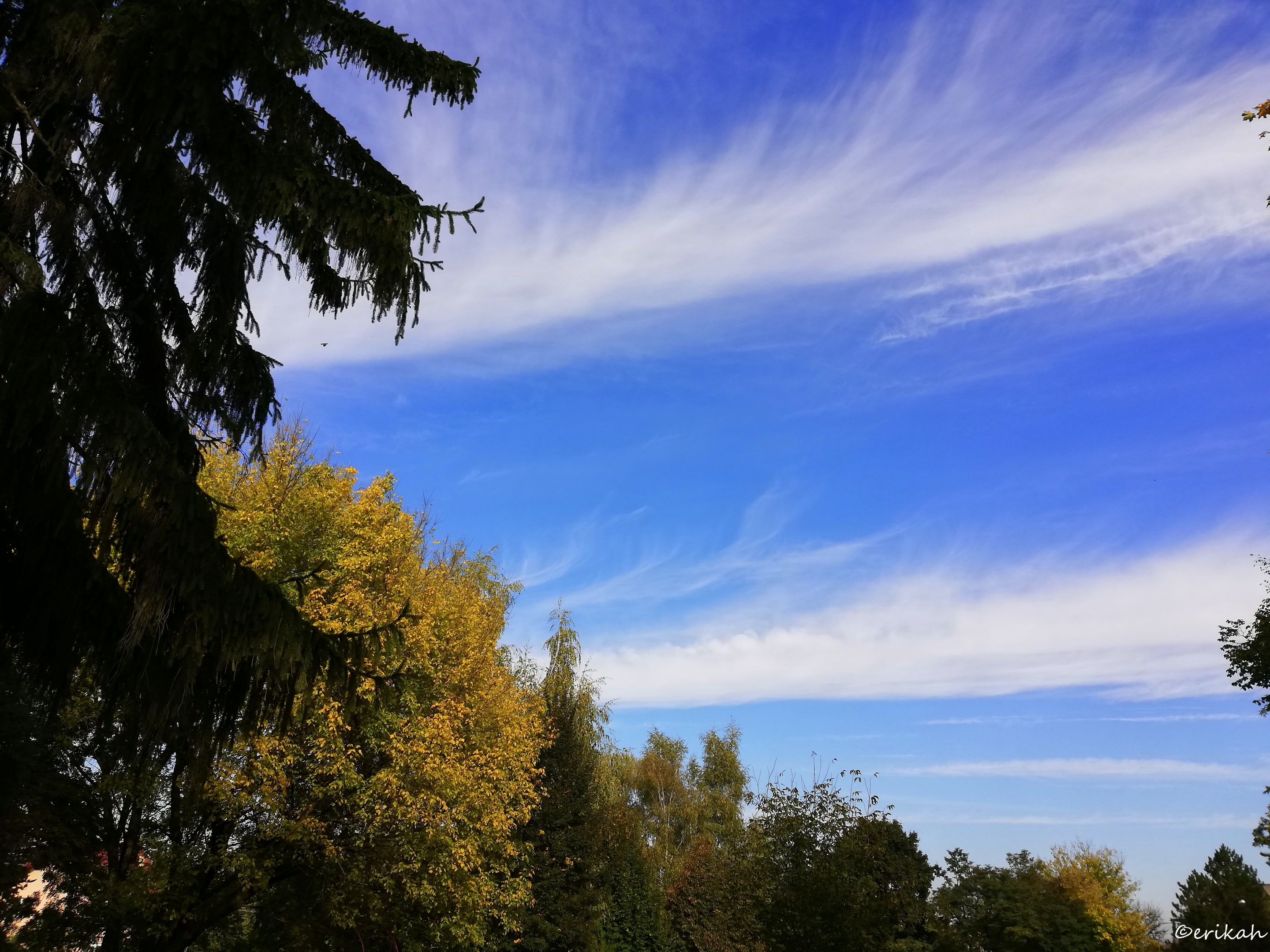IMG_20211008_104633a.jpg