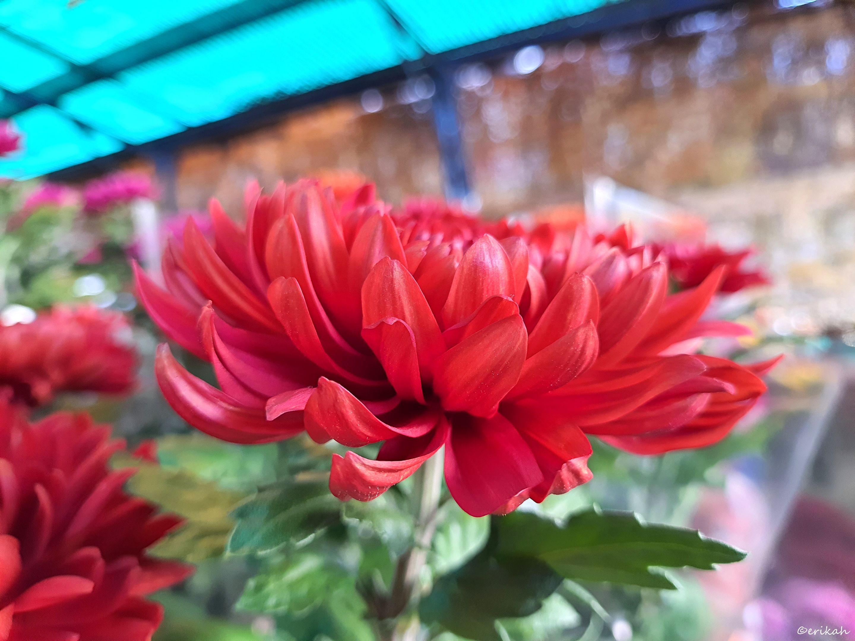 20221028_113054a.jpg