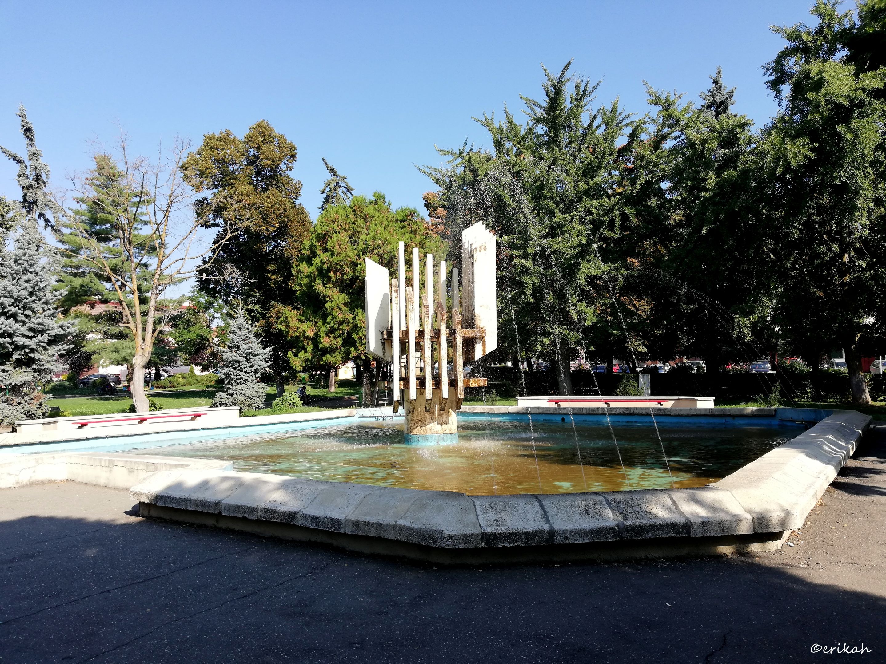IMG_20210915_104232a.jpg