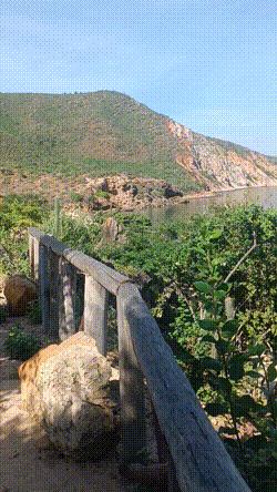 bloggif_68a0bb514cffc.gif