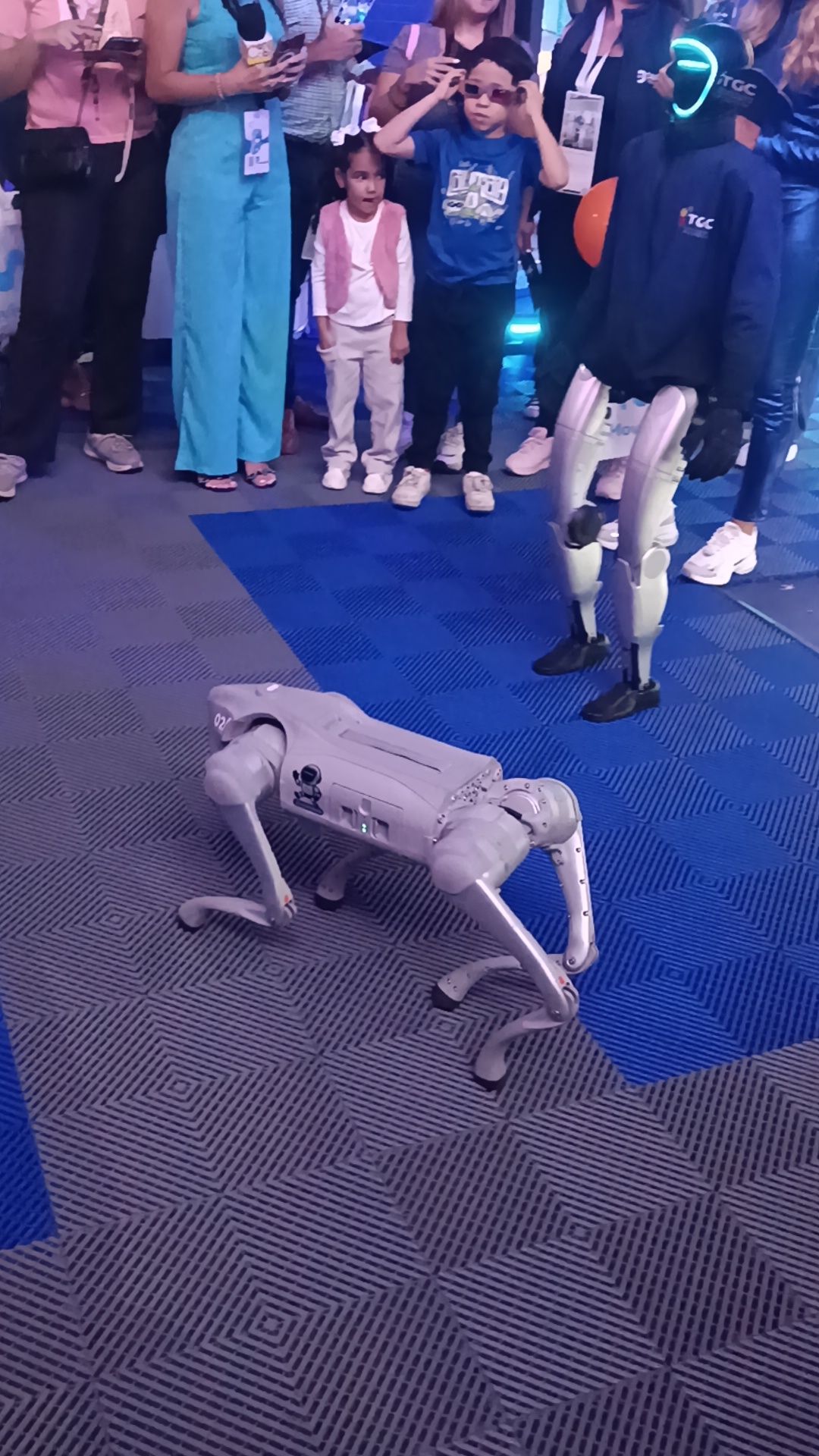 1002320483.jpg