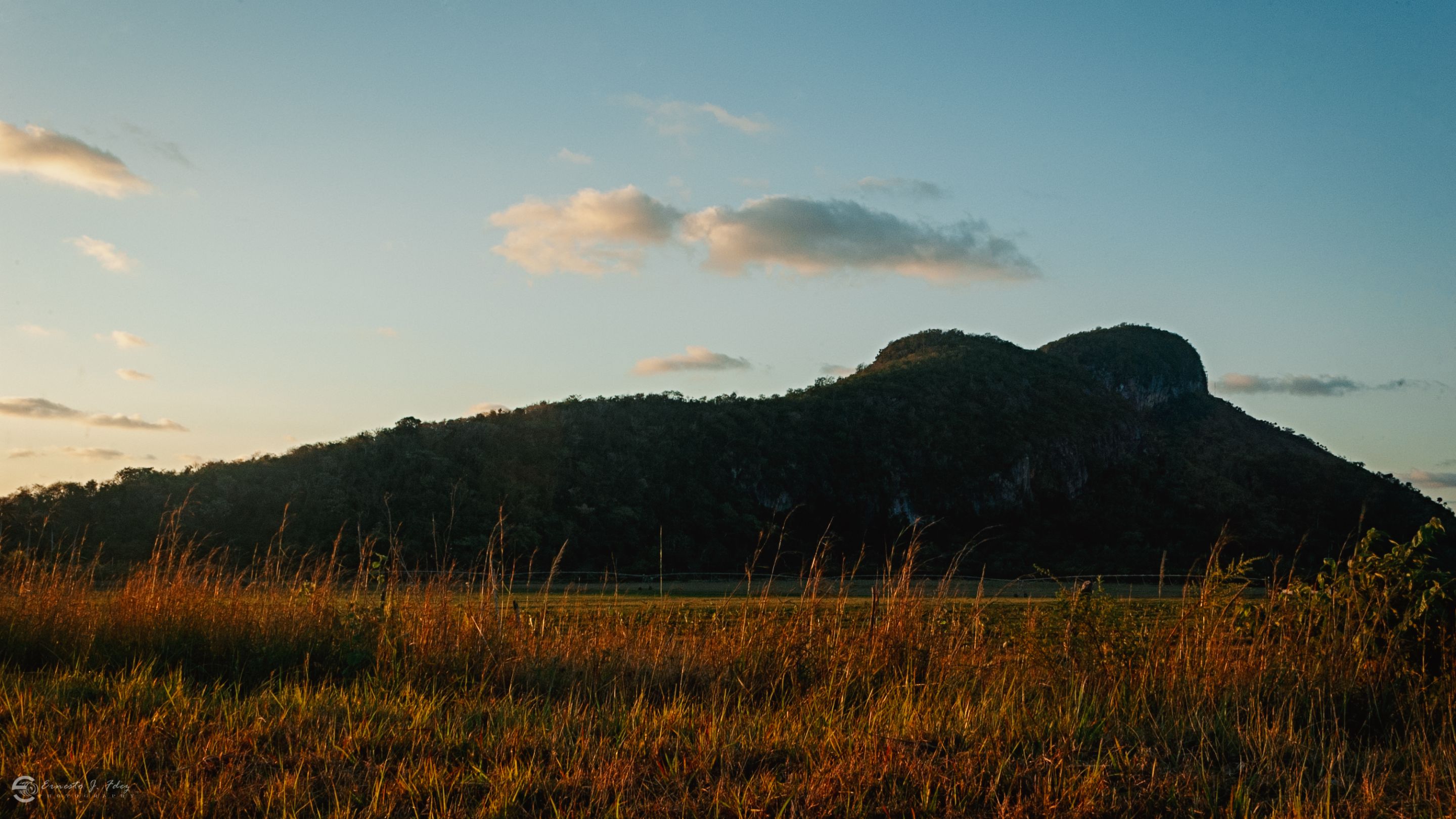 DSC_5810-1.jpg